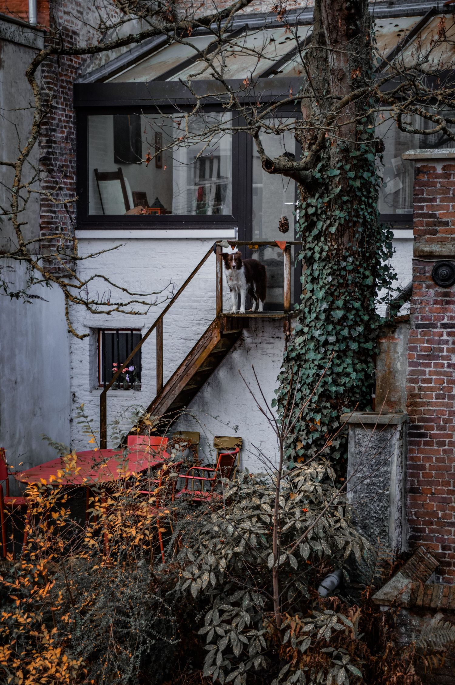 Ivy-covered brick building with bare winter branches creates a moody architectural scene.