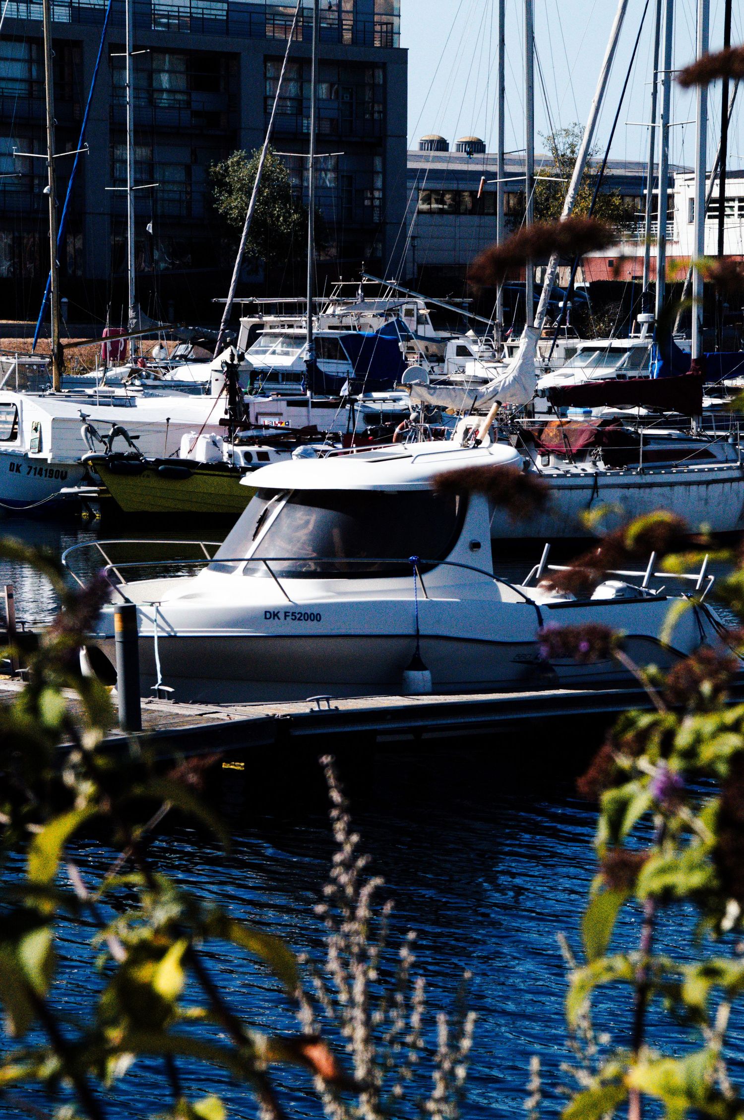 White motorboat docked at a sunny marina surrounded by sailboats, with lush waterfront buildings in the background.