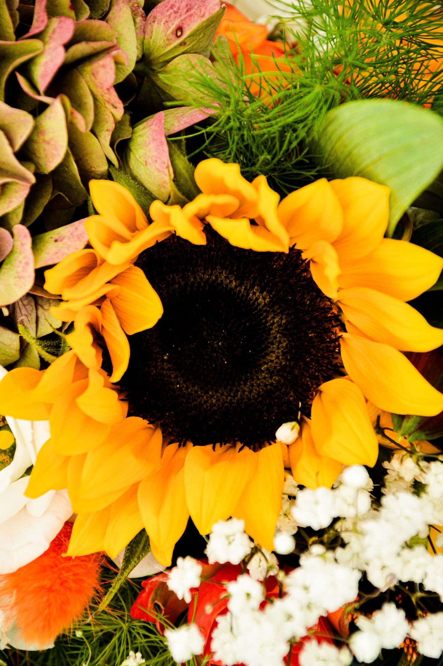 Vibrant sunflower bloom with baby's breath and greenery in floral arrangement.