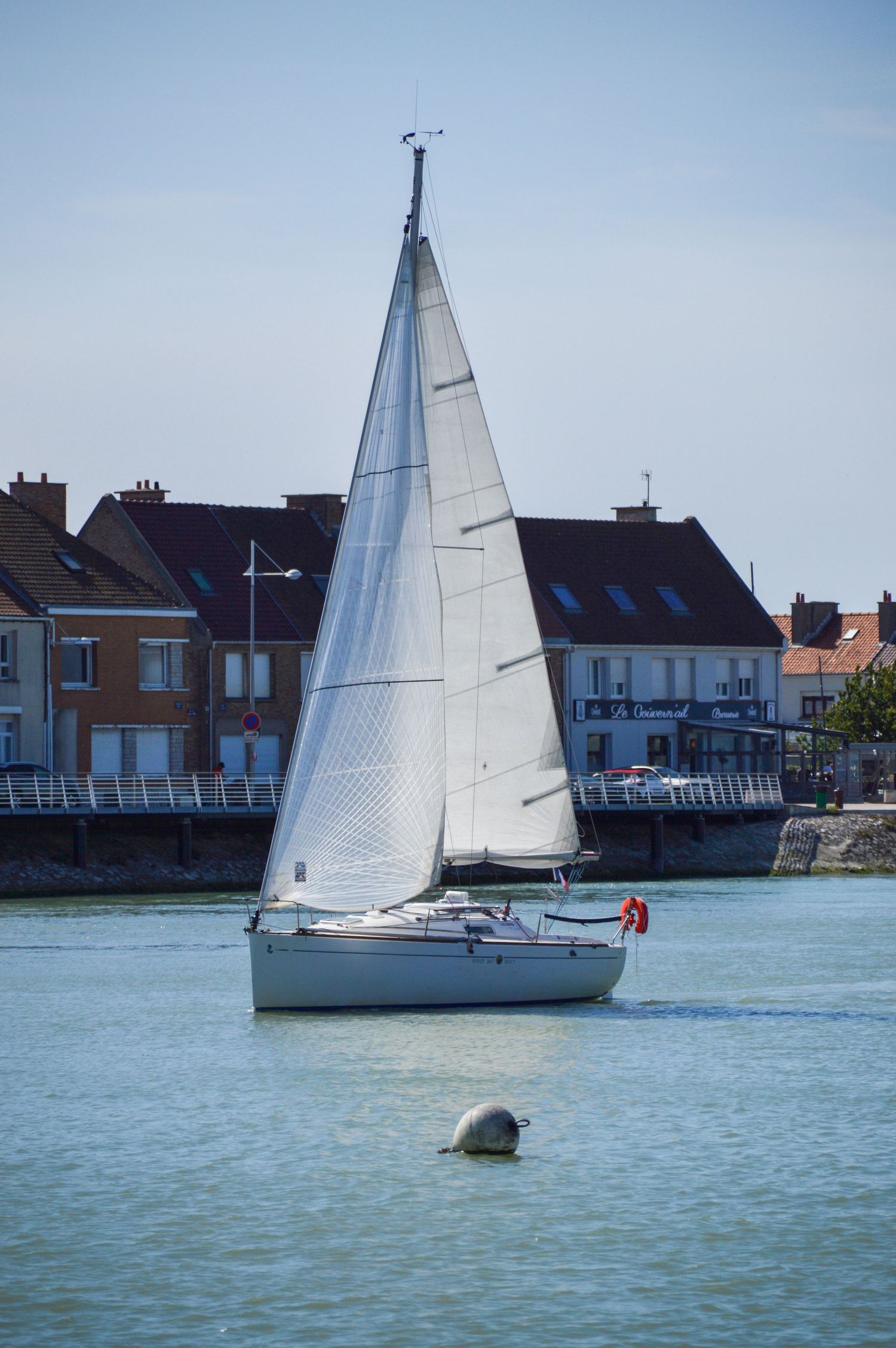 White sailboats gliding across calm waters near coastal houses on a sunny day.