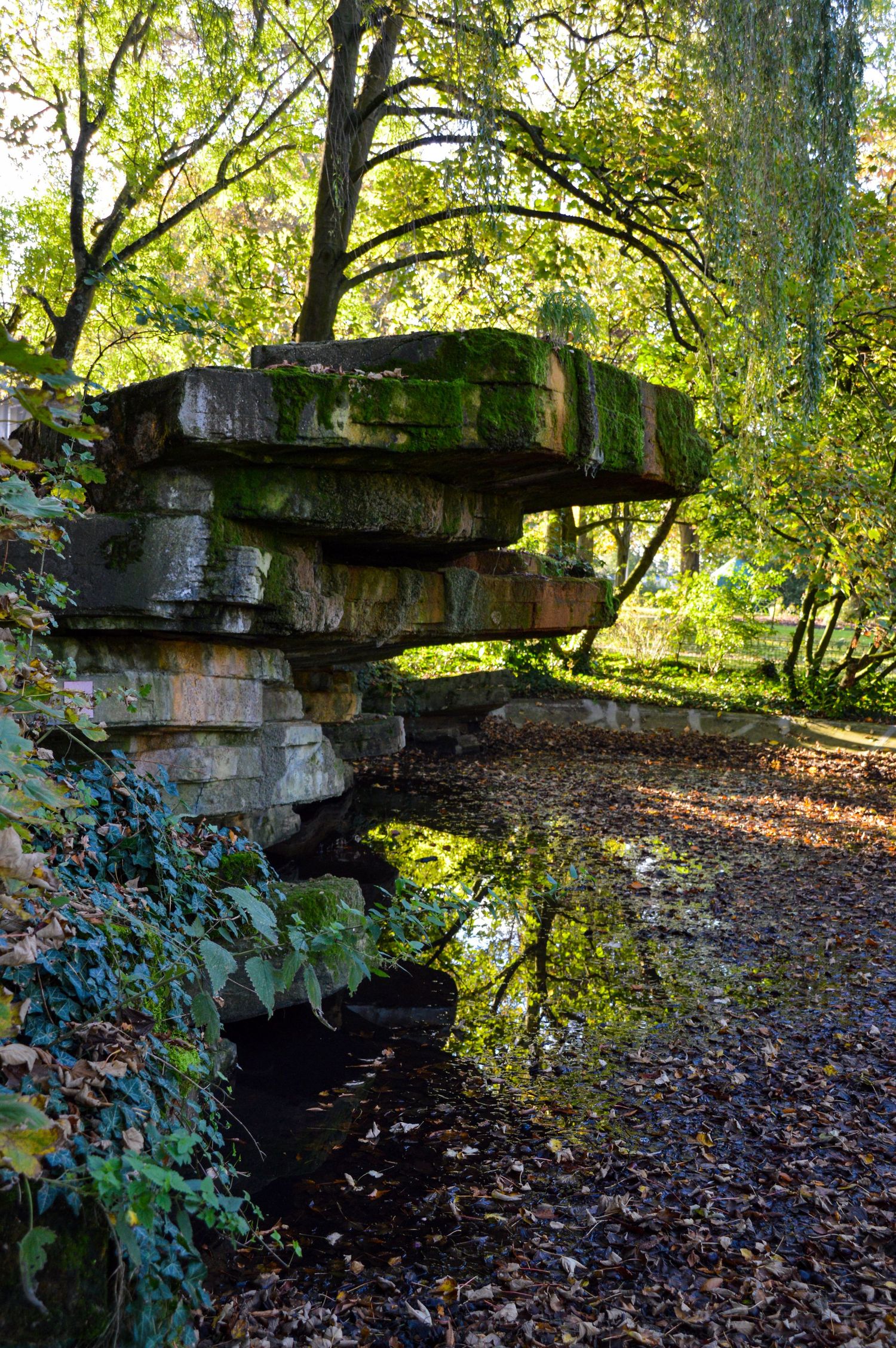 Ancient stone wall covered in ivy and fallen leaves creates a mysterious woodland atmosphere.