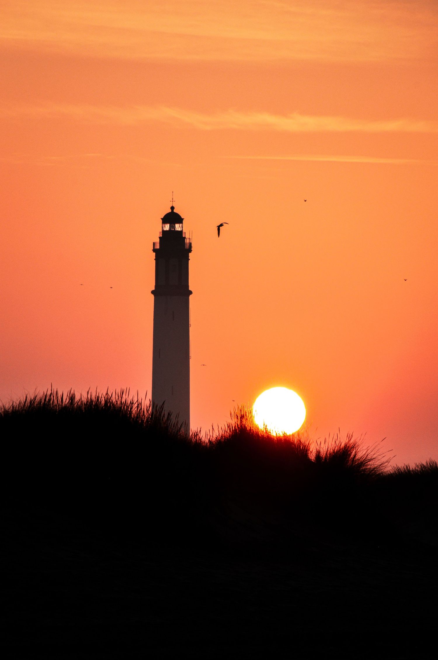 Silhouette of lighthouse against vibrant orange sunset sky with sun setting on horizon and seabird flying past.