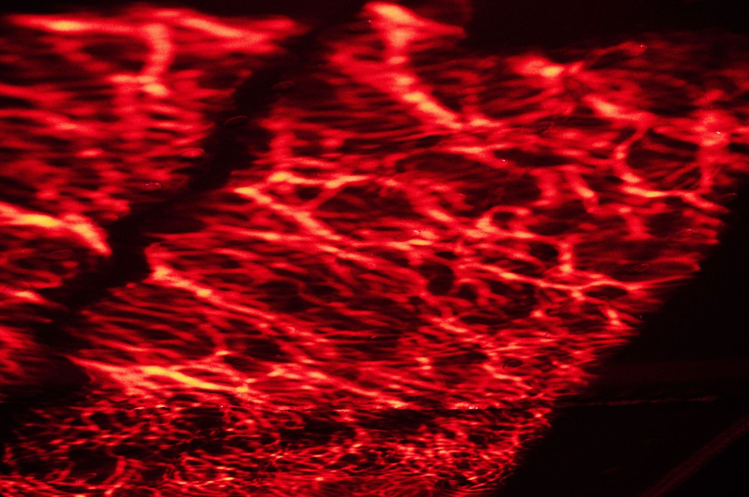 Abstract red glowing light patterns creating a fiery, molten lava-like texture against a dark background.