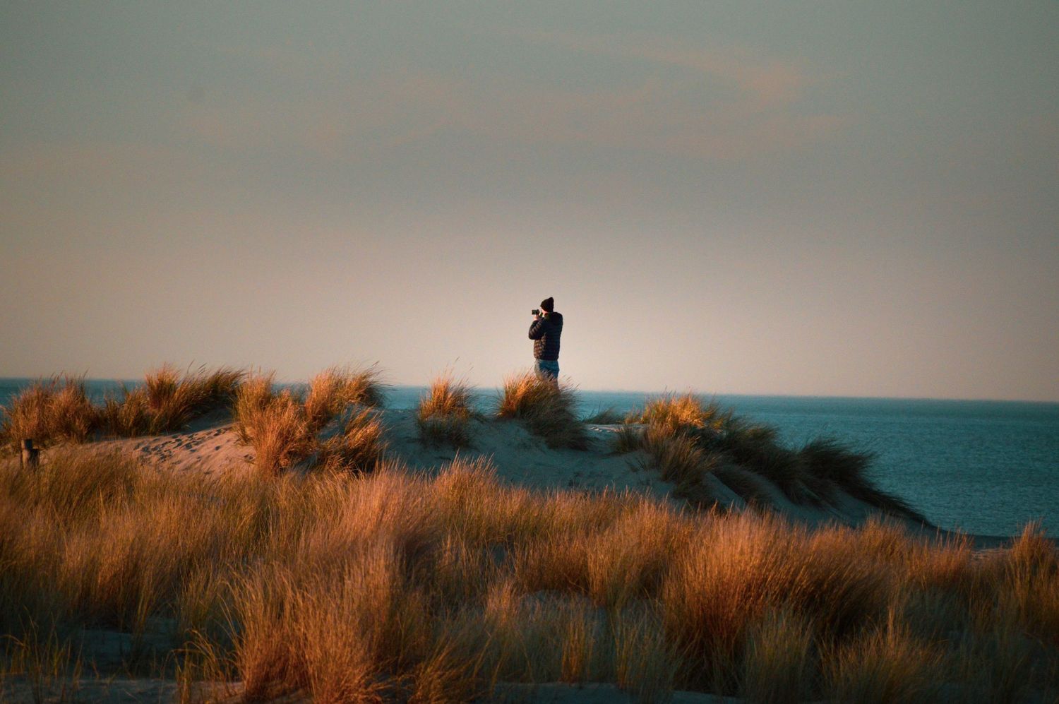 Silhouette of beach grass and dunes along the coastline at dusk.