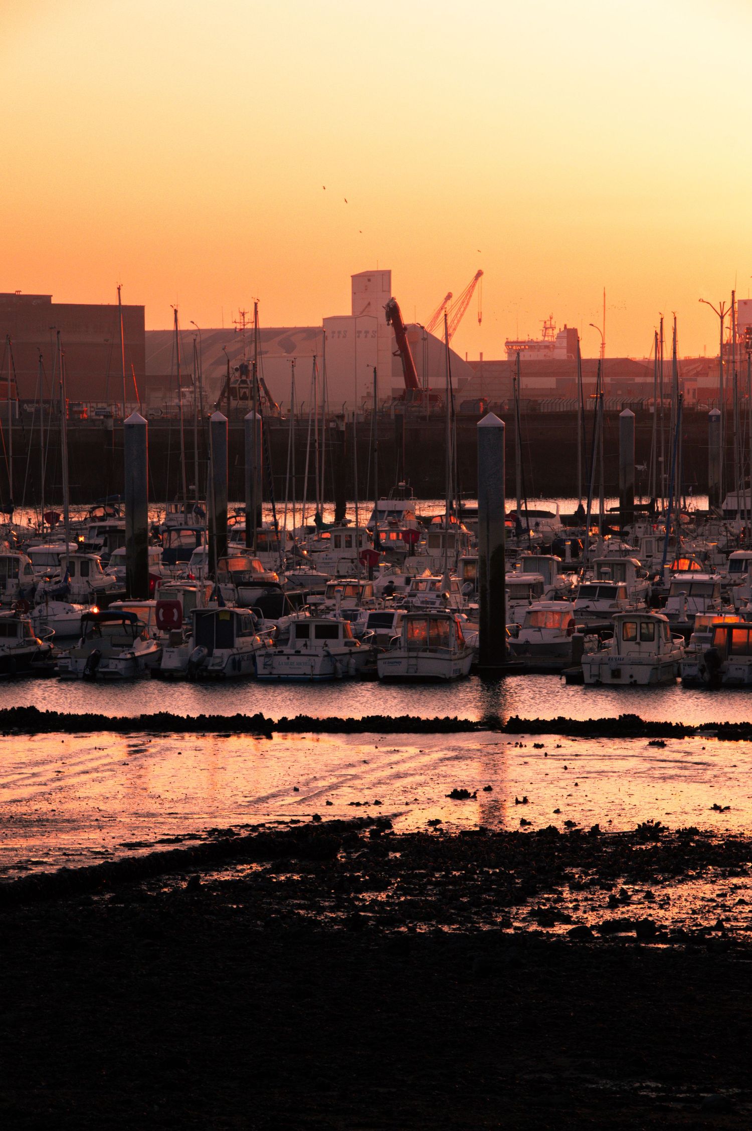 Silhouetted sailboats and yachts moored in a marina at sunset with orange sky reflecting on calm water.