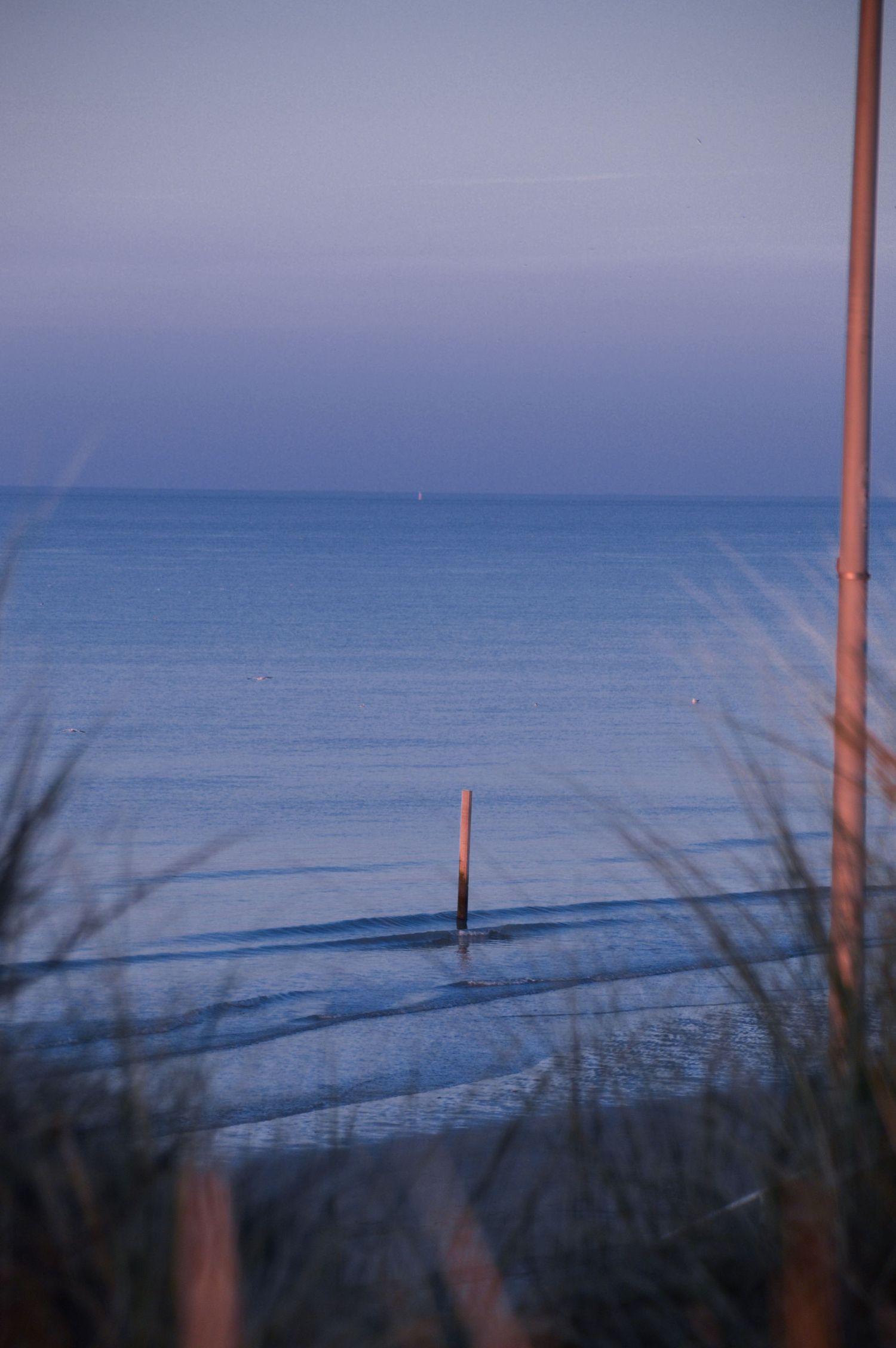 Moody twilight seascape with dark blue tones and beach grass silhouettes.