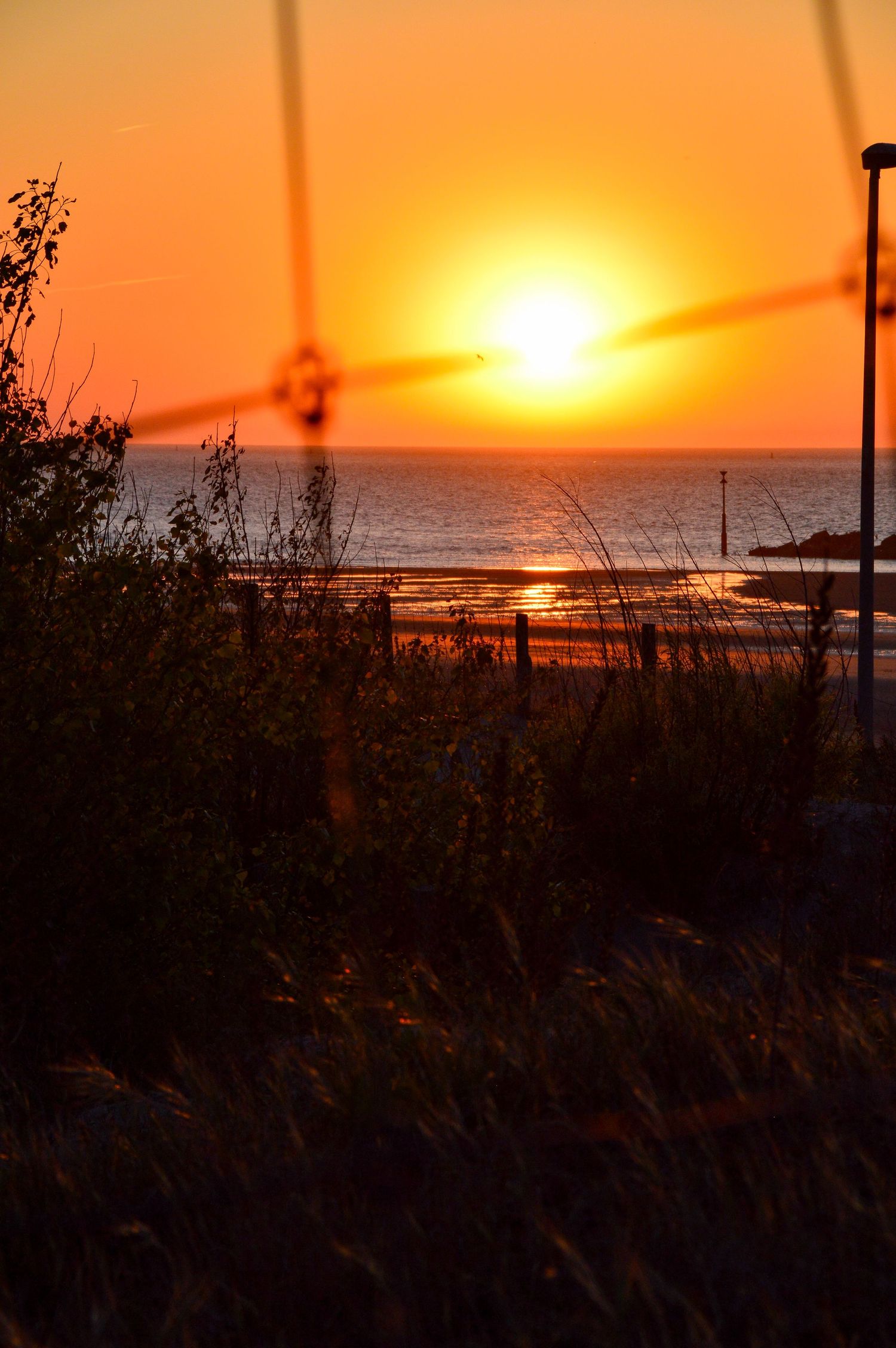 Dramatic orange sunset over ocean horizon with silhouetted beach vegetation.