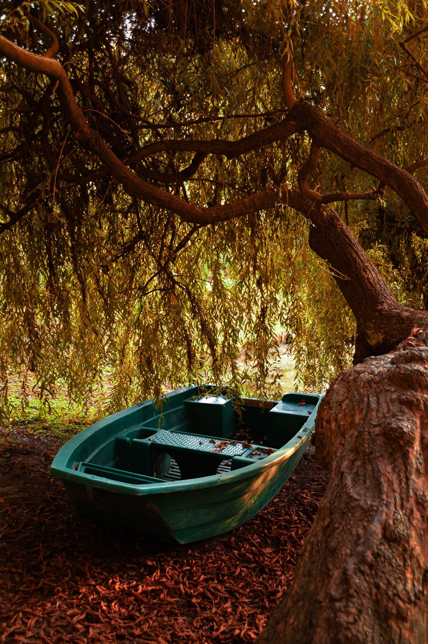 Turquoise rowboat rests beneath drooping willow branches in autumn setting.