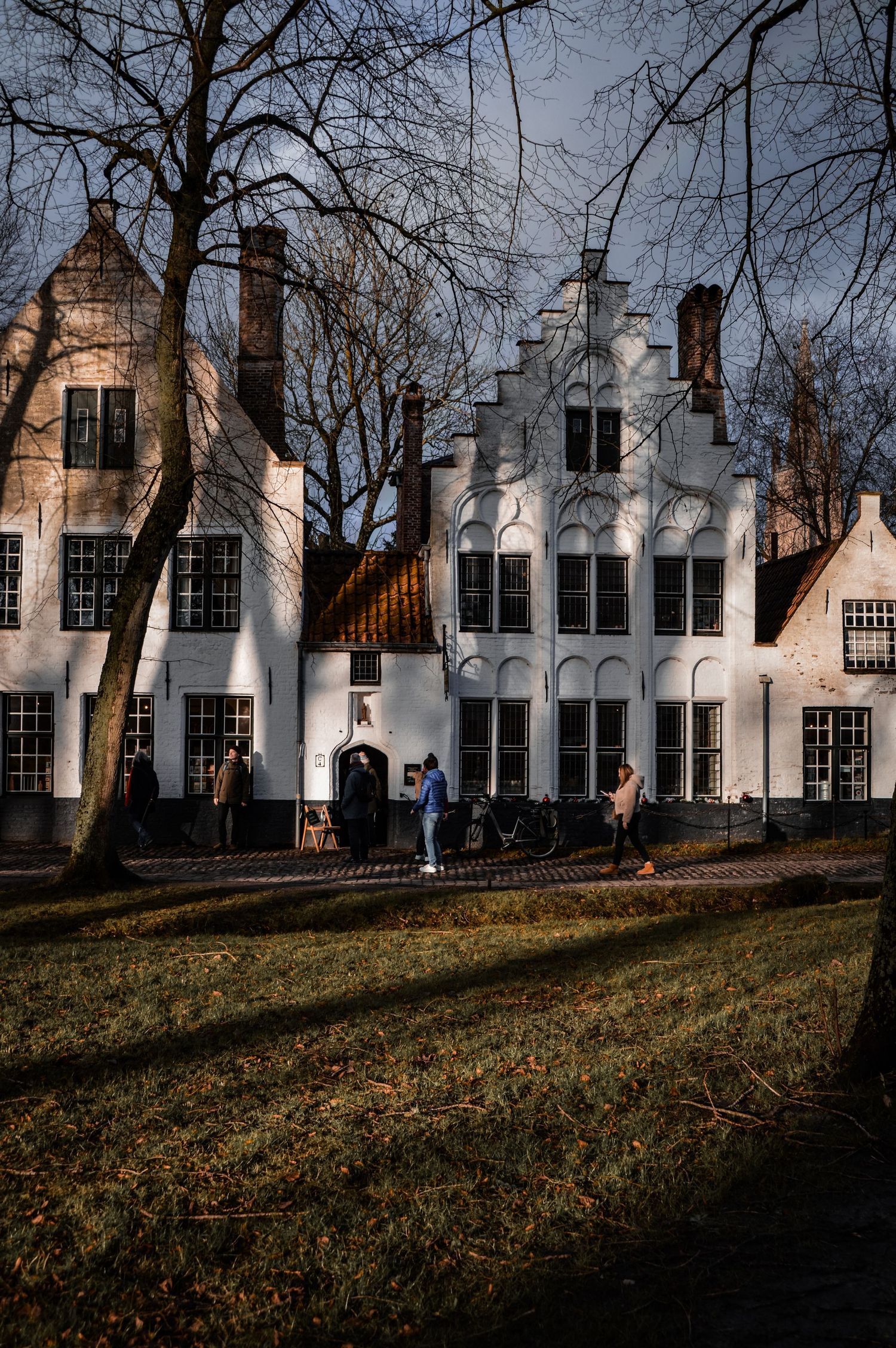 Row of traditional white Belgian houses with stepped gable roofs and bare winter trees.