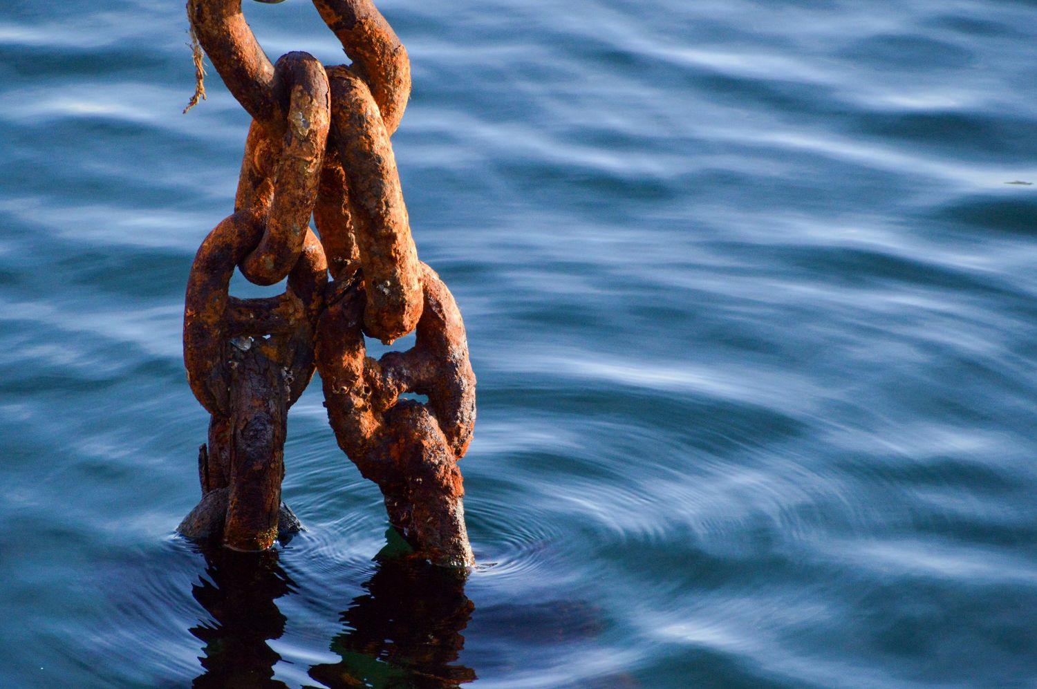 Rusty chain links partially submerged in blue rippling water.