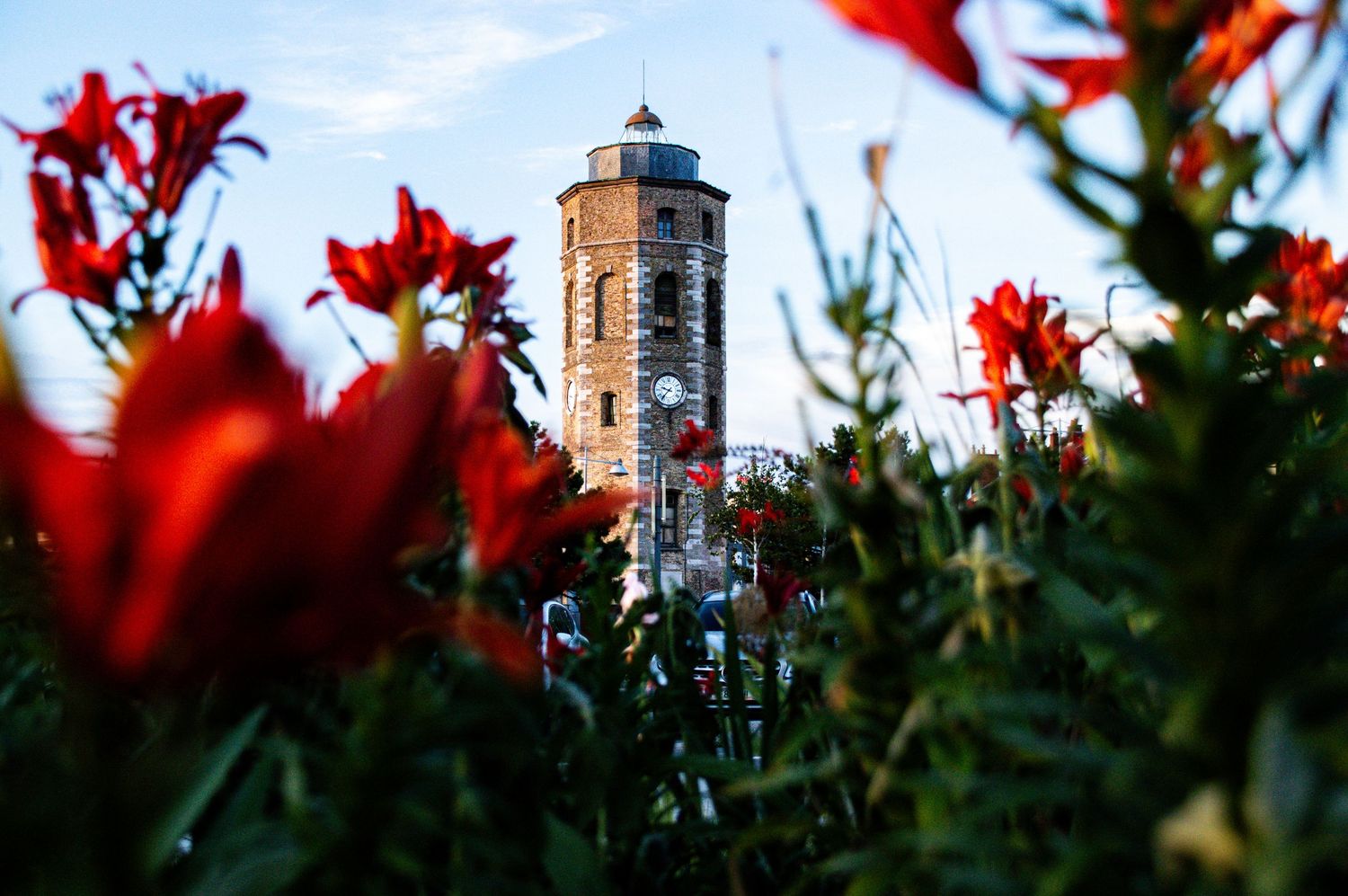 Red flowers frame a historic brick tower against a blue sky in a vibrant garden setting.