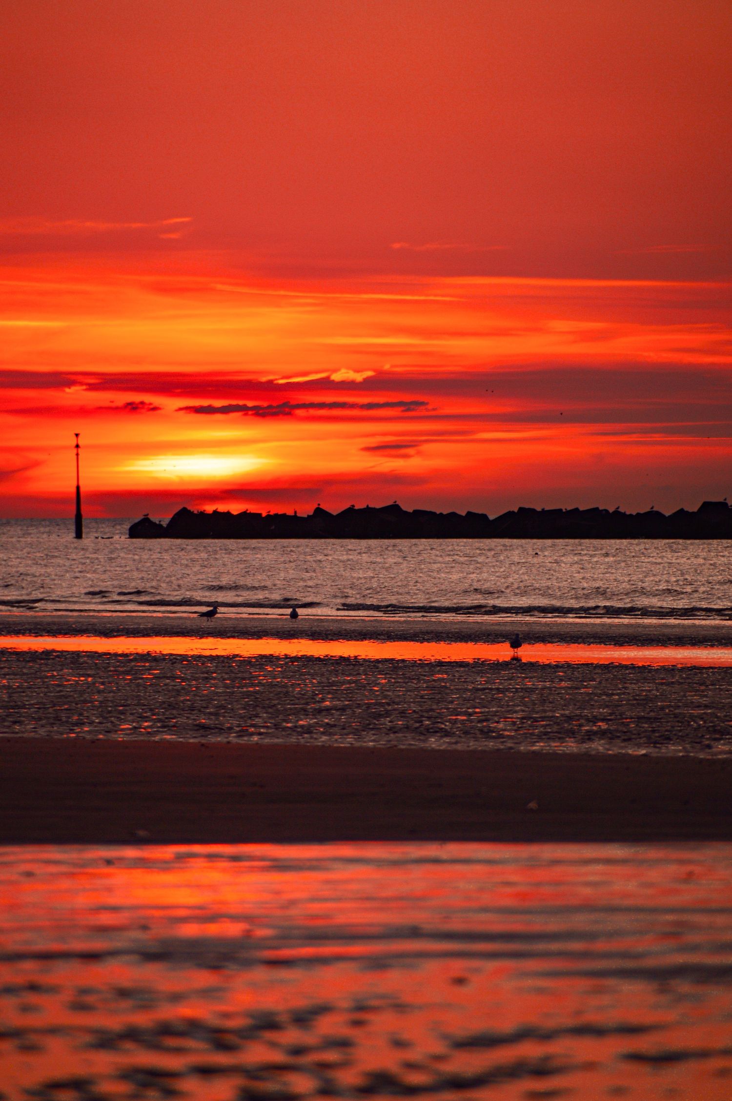 Dramatic red sunset over ocean horizon with silhouetted coastline.