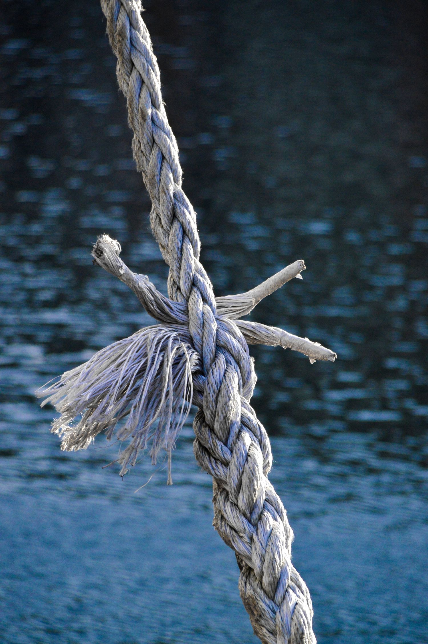 Frayed rope detail against dark water background showing weathered textile texture.