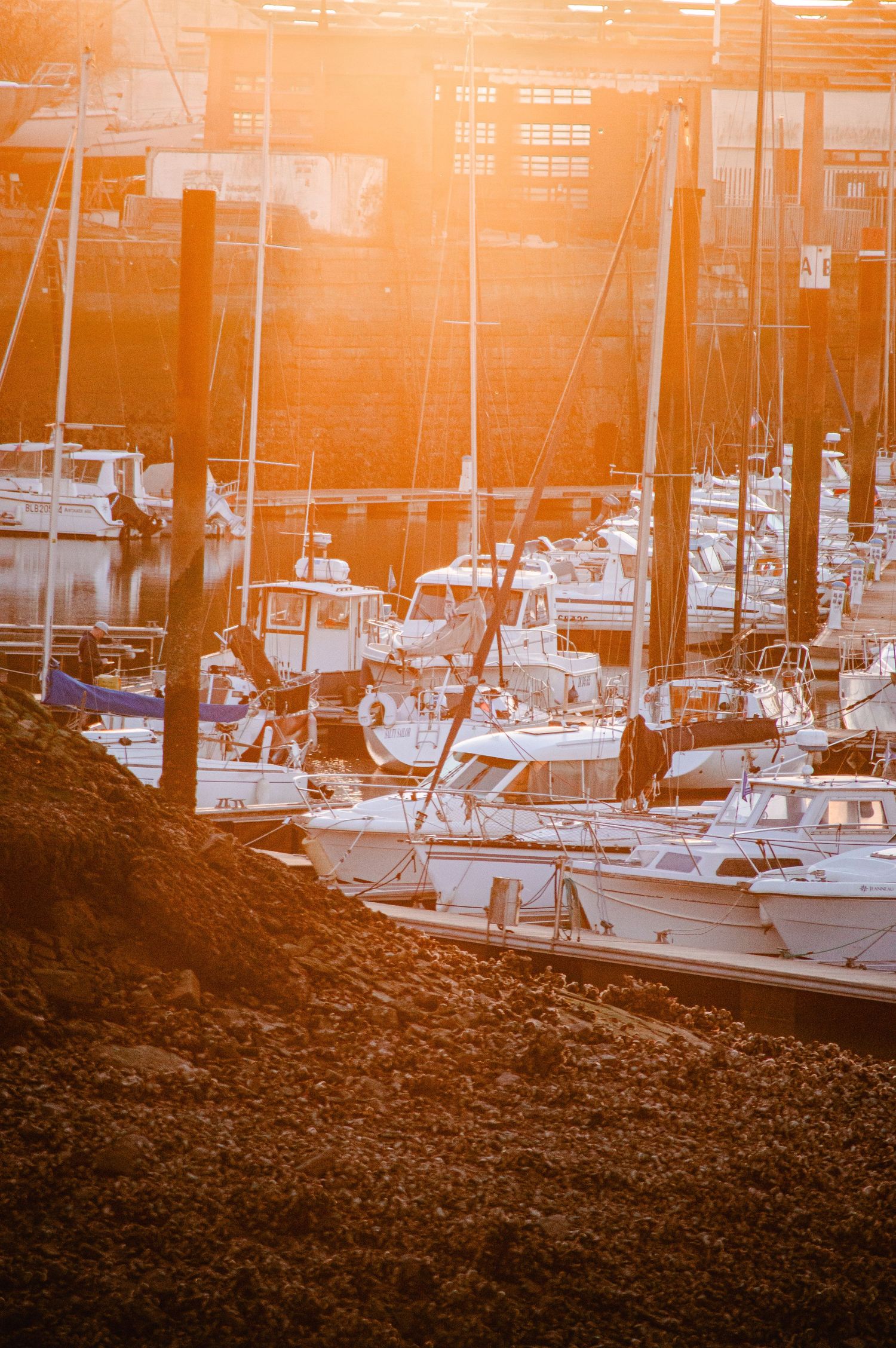 Marina at sunset with boats docked along the waterfront as warm orange light bathes the scene.