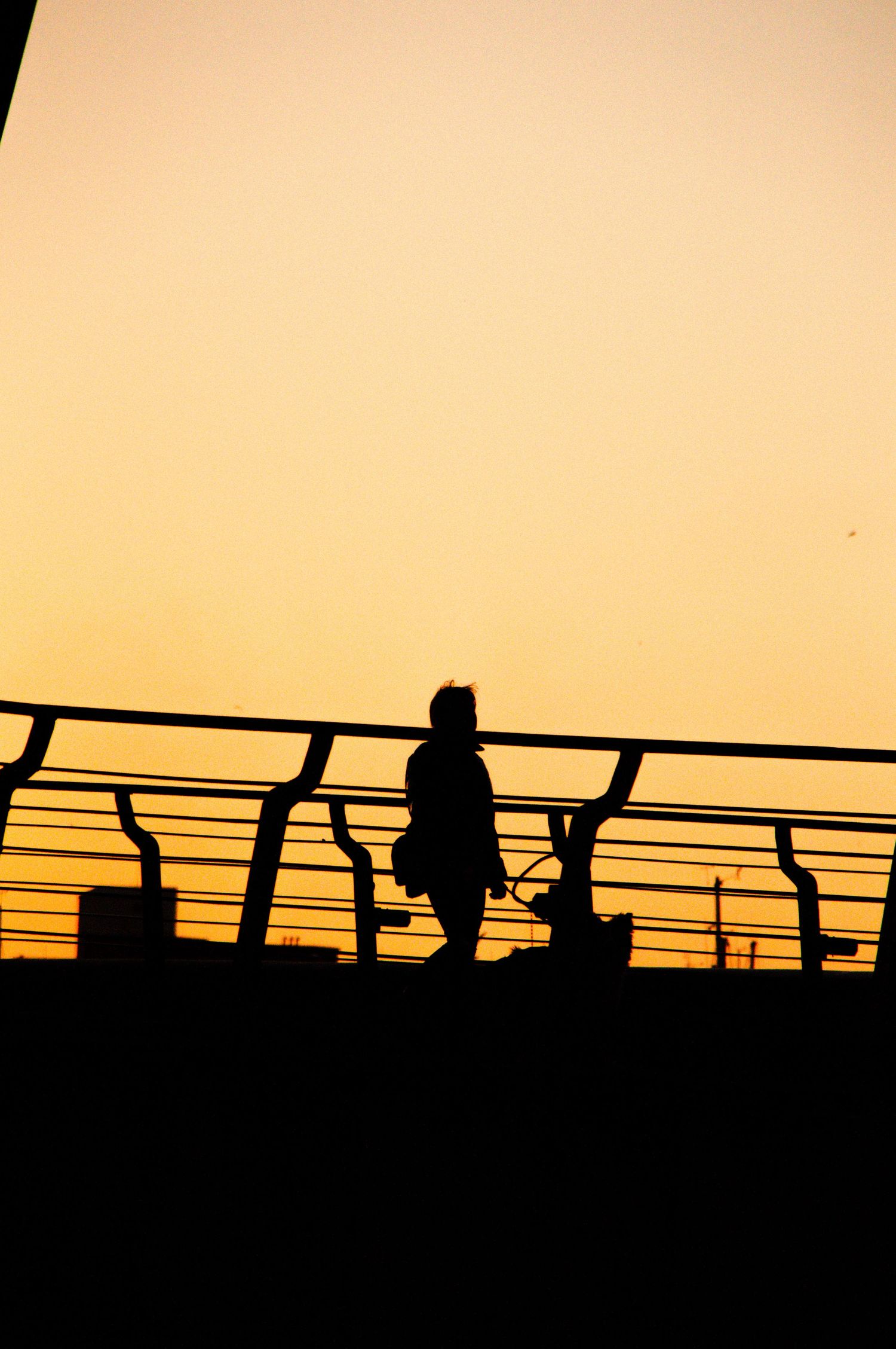 Silhouettes of people standing along a railing against a warm orange sunset sky.