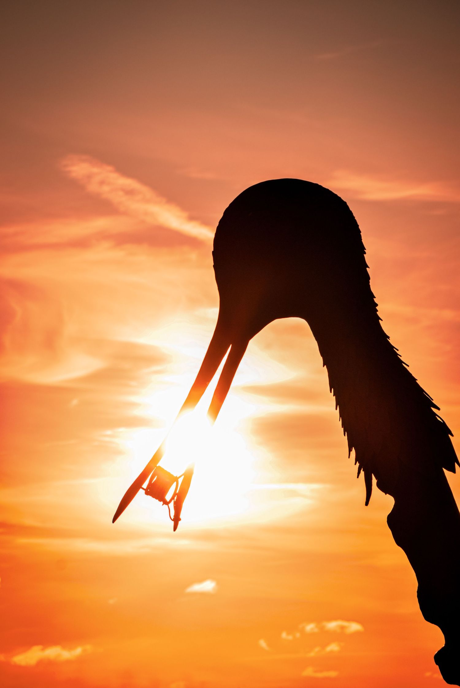 Dramatic silhouettes against an orange sunset sky creating abstract shapes.