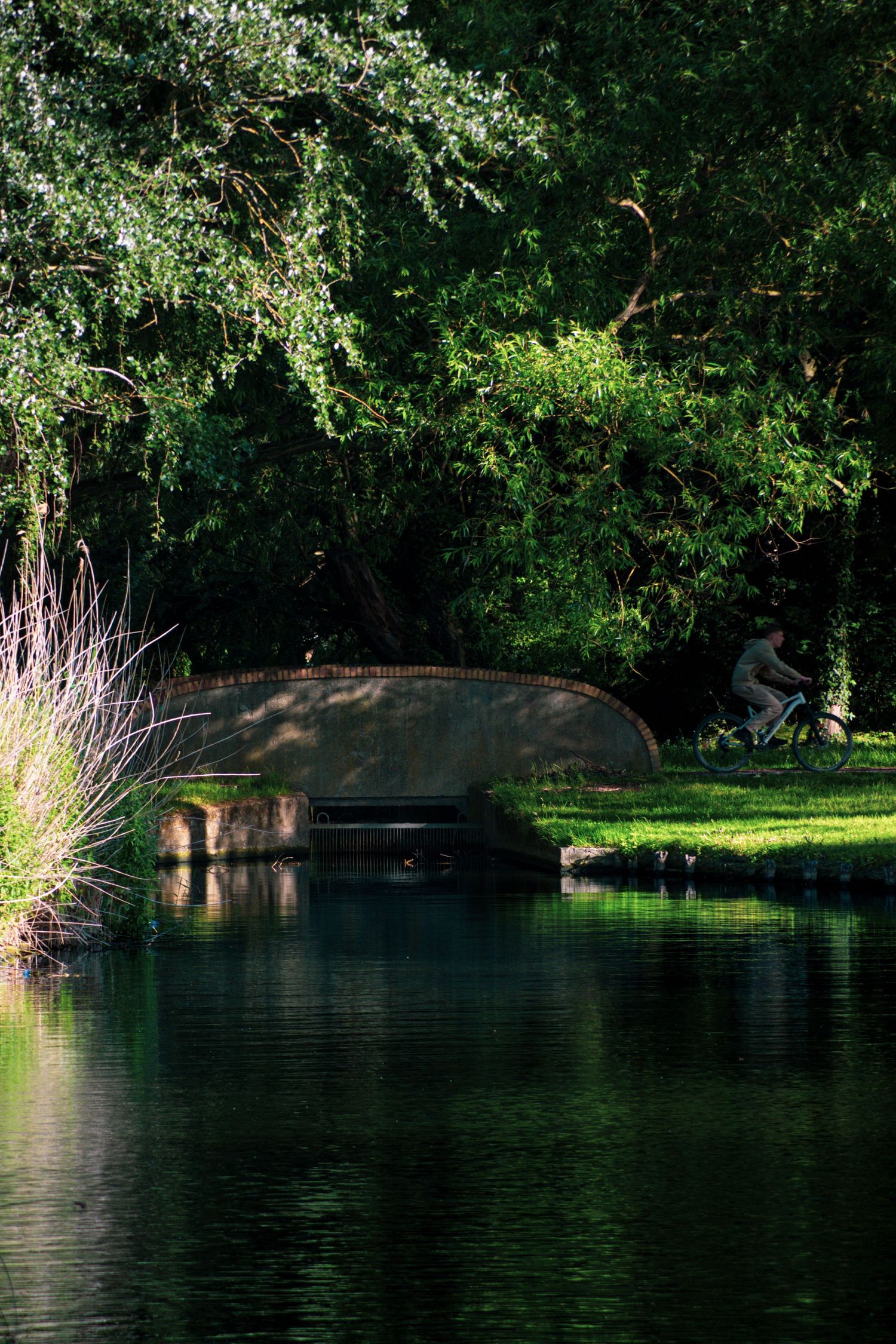A serene park pond reflects lush green trees, with a stone bridge and cyclist visible in dappled sunlight.