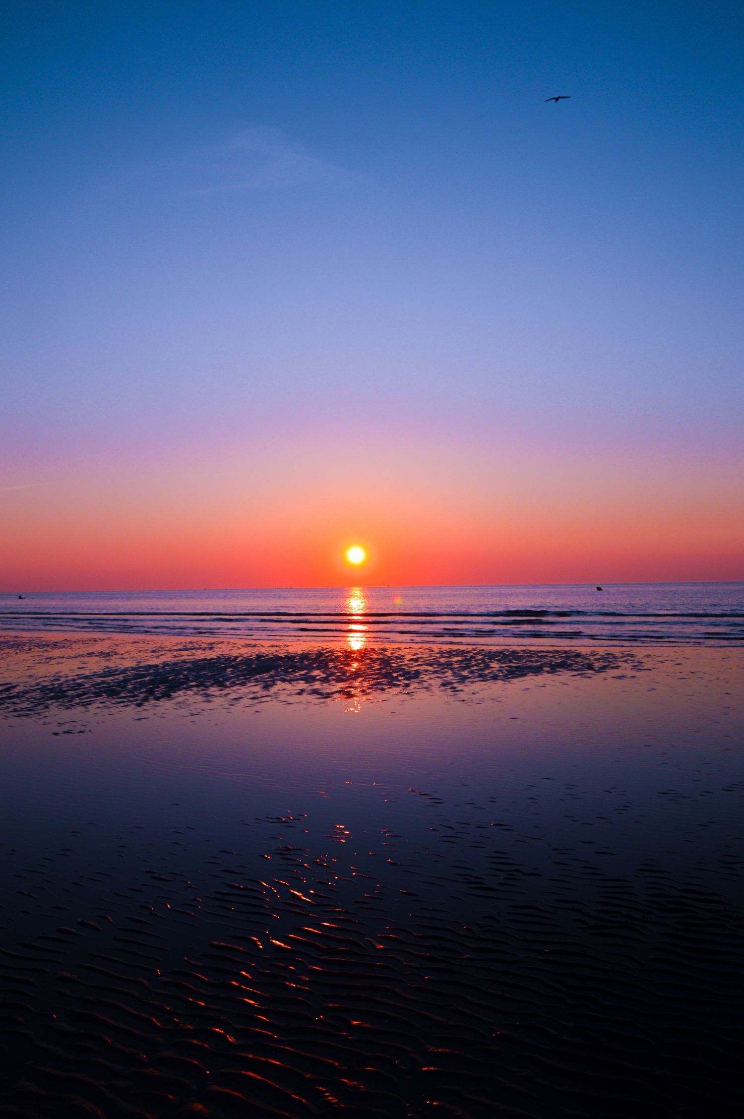 Stunning orange sunset over calm ocean waters creates dramatic silhouette on the horizon.