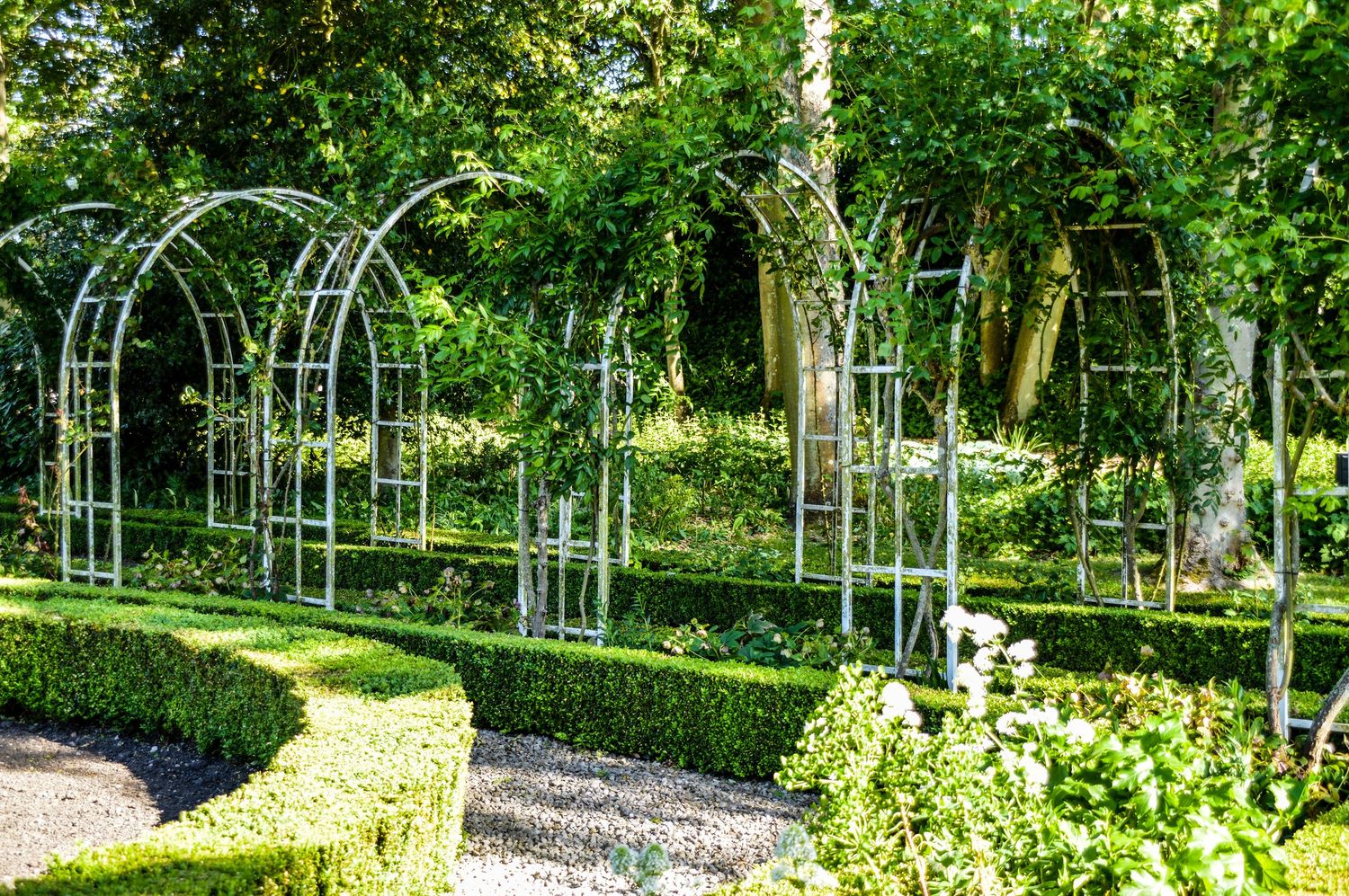 White metal garden arches create an elegant walkway through a manicured landscape.