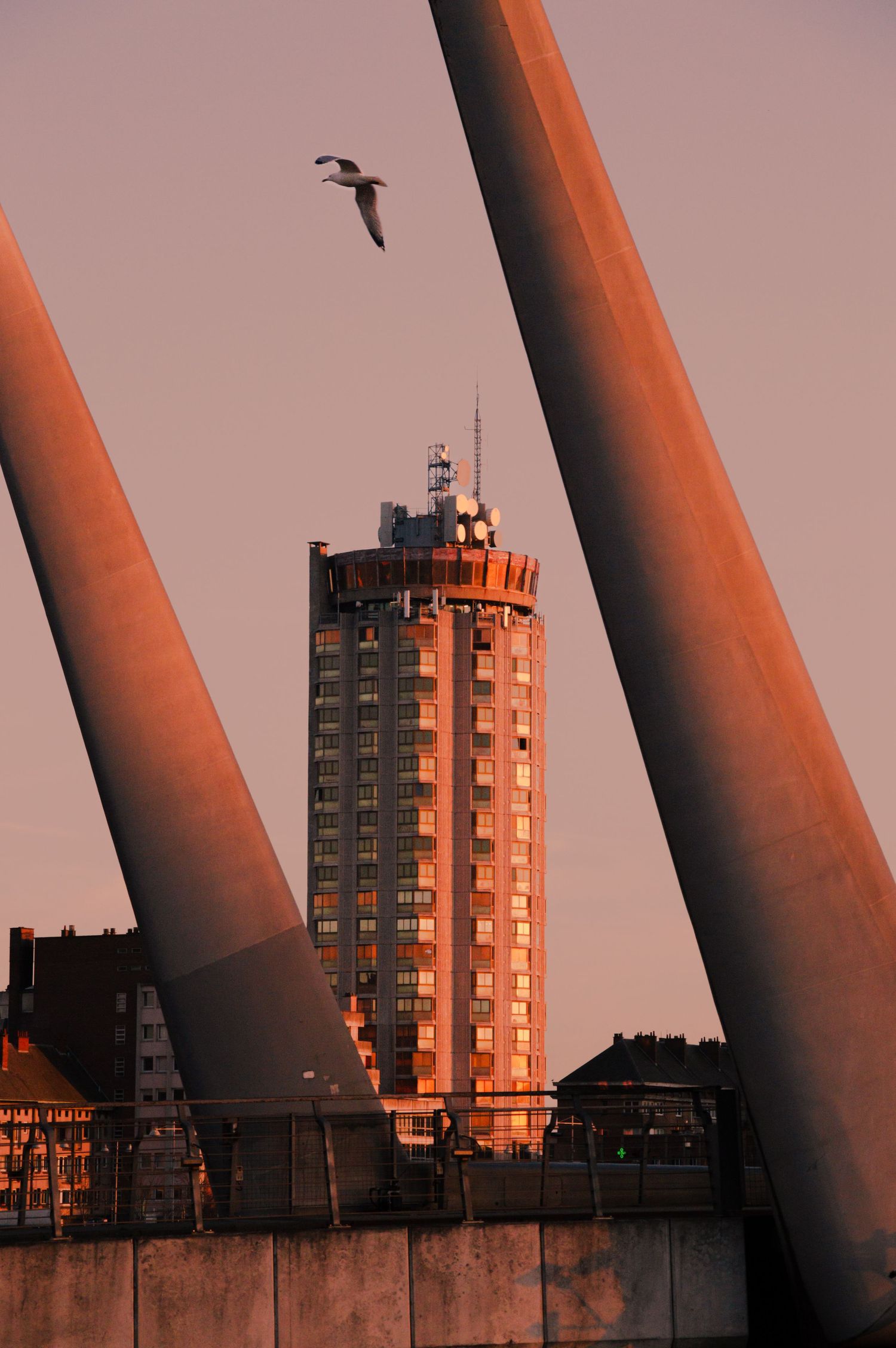 Diagonal white columns frame urban apartment buildings against a warm sunset sky in a striking architectural composition.
