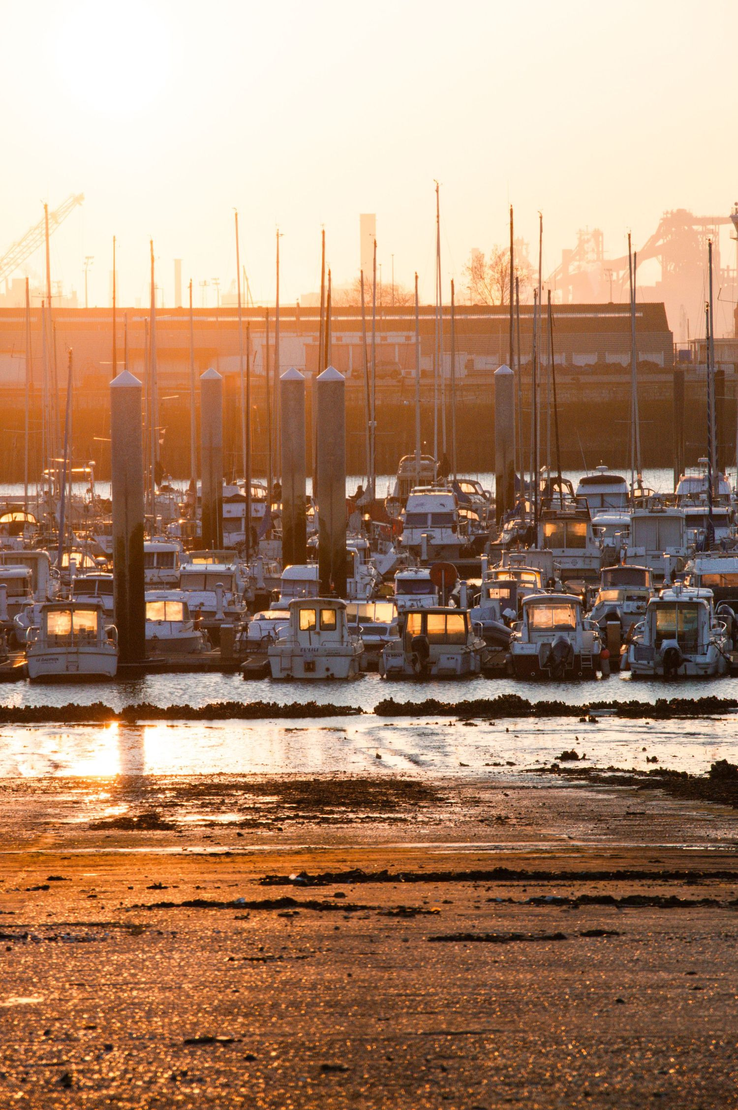 Boats docked at a marina during golden sunset with silhouetted masts against an orange sky.