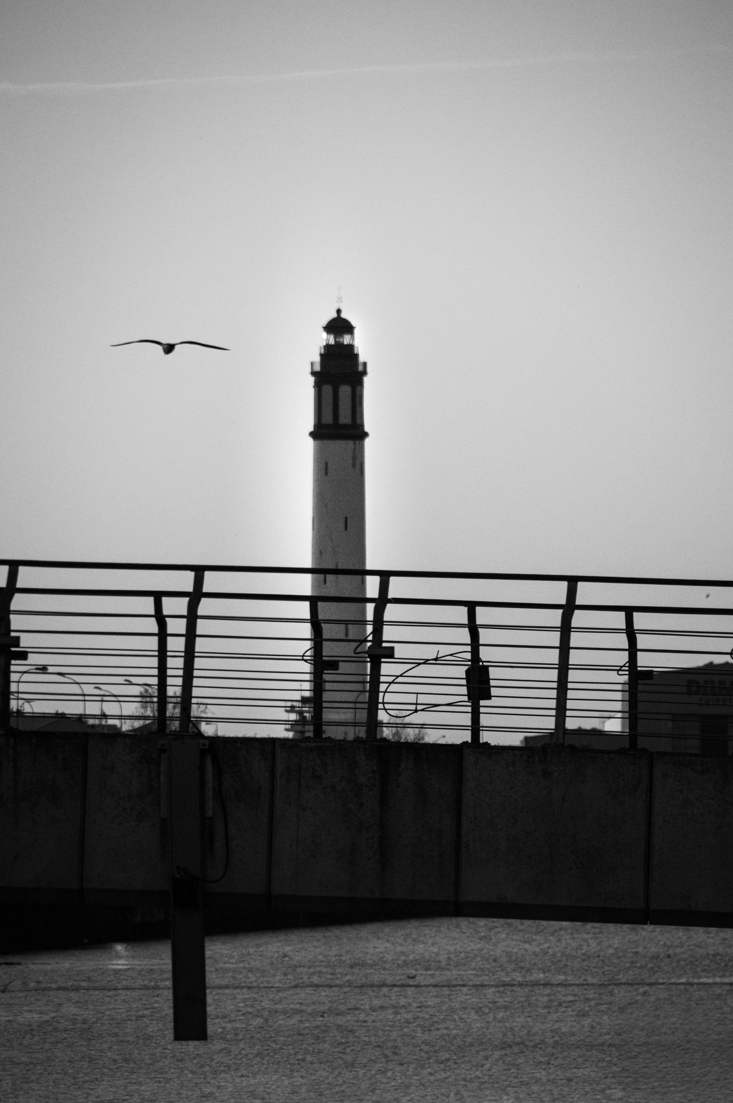 A dramatic black and white series of lighthouse silhouettes against a moody sky with seagulls and metal railings.