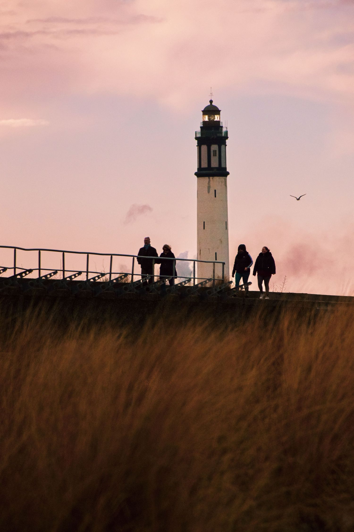 Lighthouse silhouetted against pink sunset sky with tall grass in foreground.