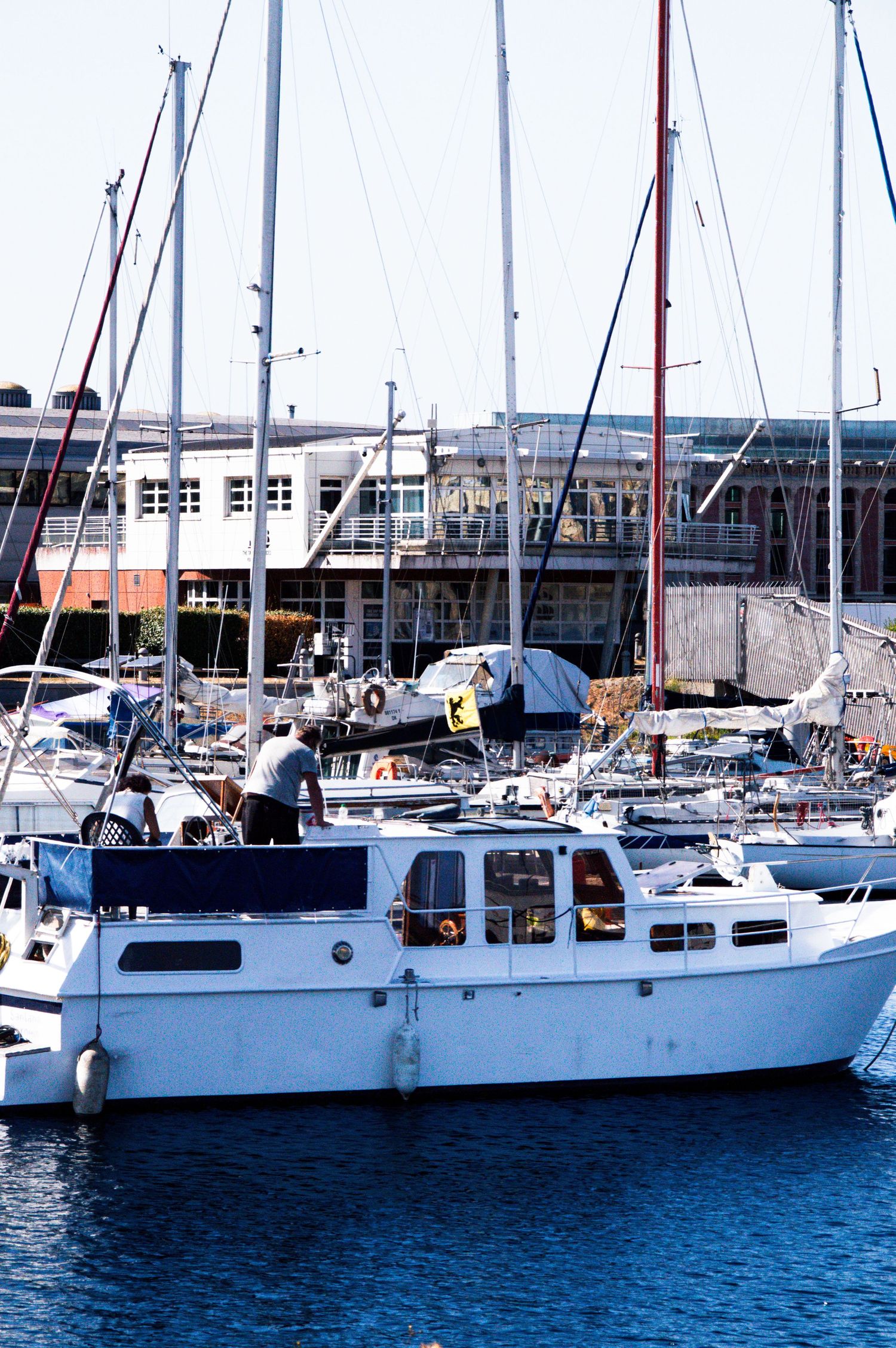 White sailboats docked at a marina harbor with tall masts against a clear blue sky near a waterfront building.