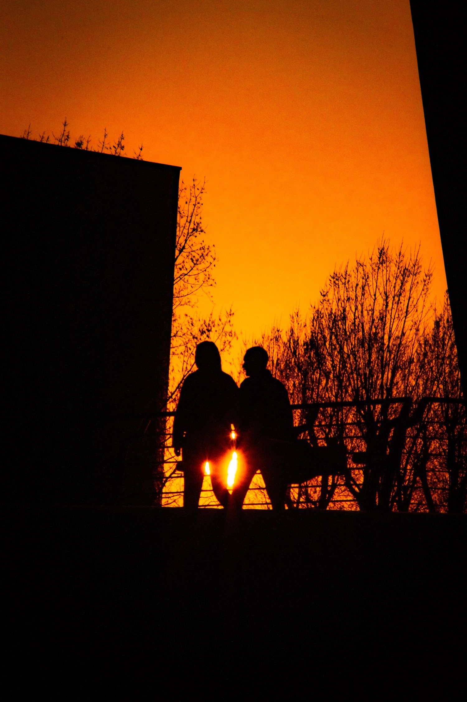 Silhouettes of two people sitting on a bench against a vibrant orange sunset sky with bare tree branches in the background.