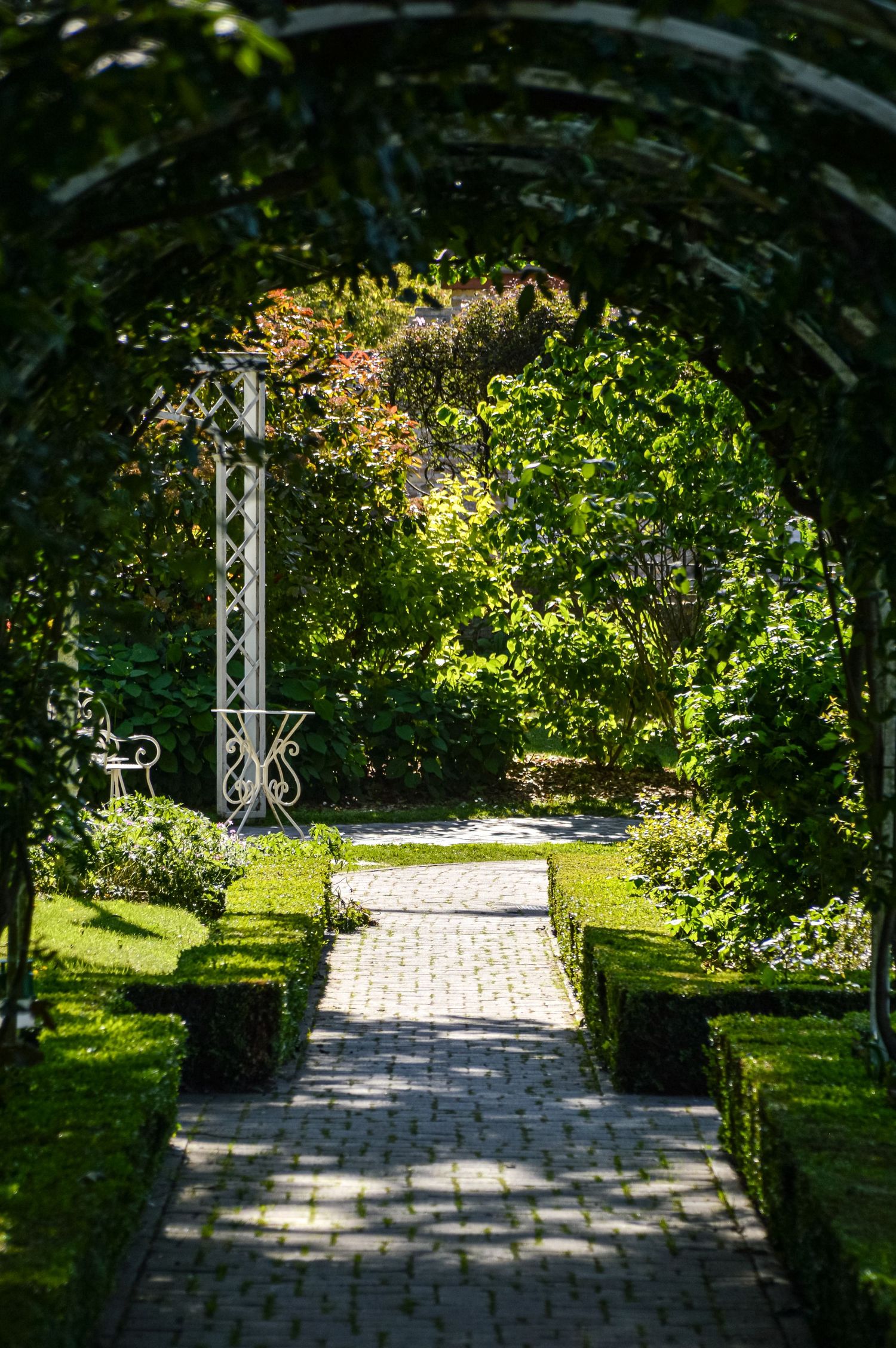 Sunlit garden pathway with green archway and stone pavers.