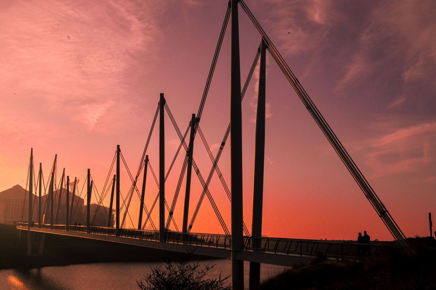 Dramatic pink and orange sunset sky silhouettes sailboat masts in a marina creating a striking pattern of lines.