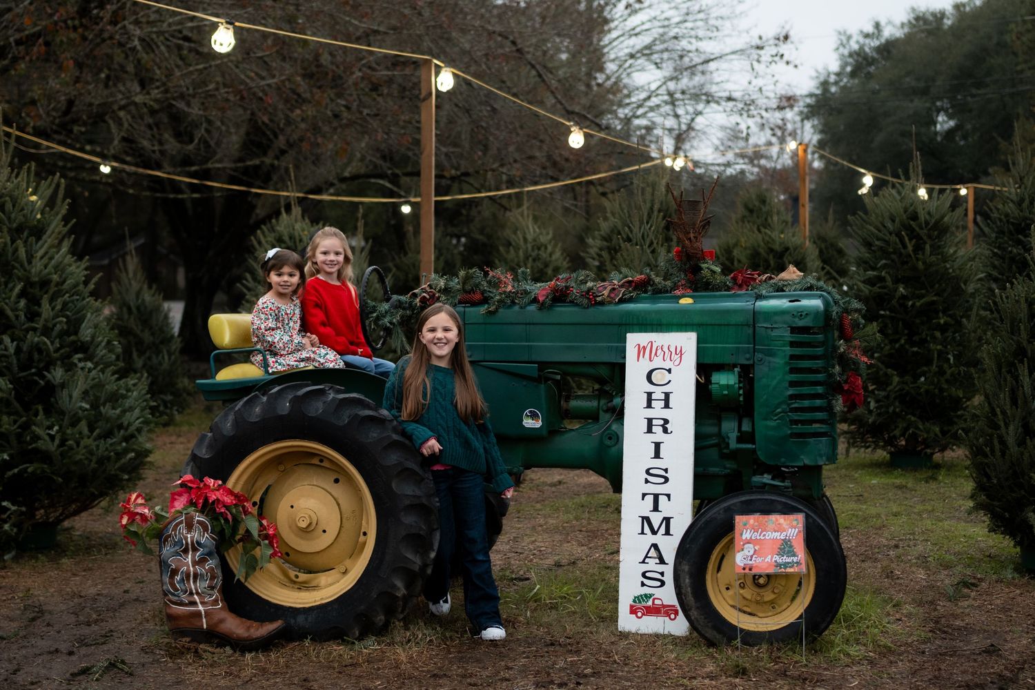 Children pose on a vintage green tractor at a Christmas tree farm with festive lights and holiday signage.
