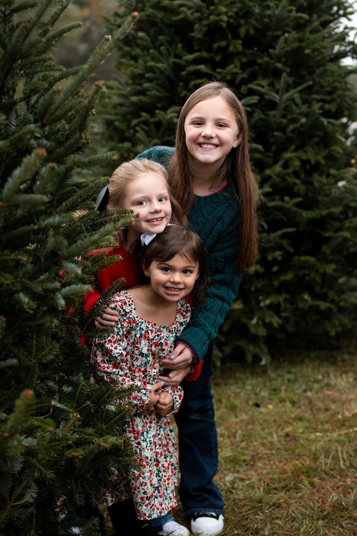 Three smiling girls posing together among green Christmas trees at a festive tree farm.