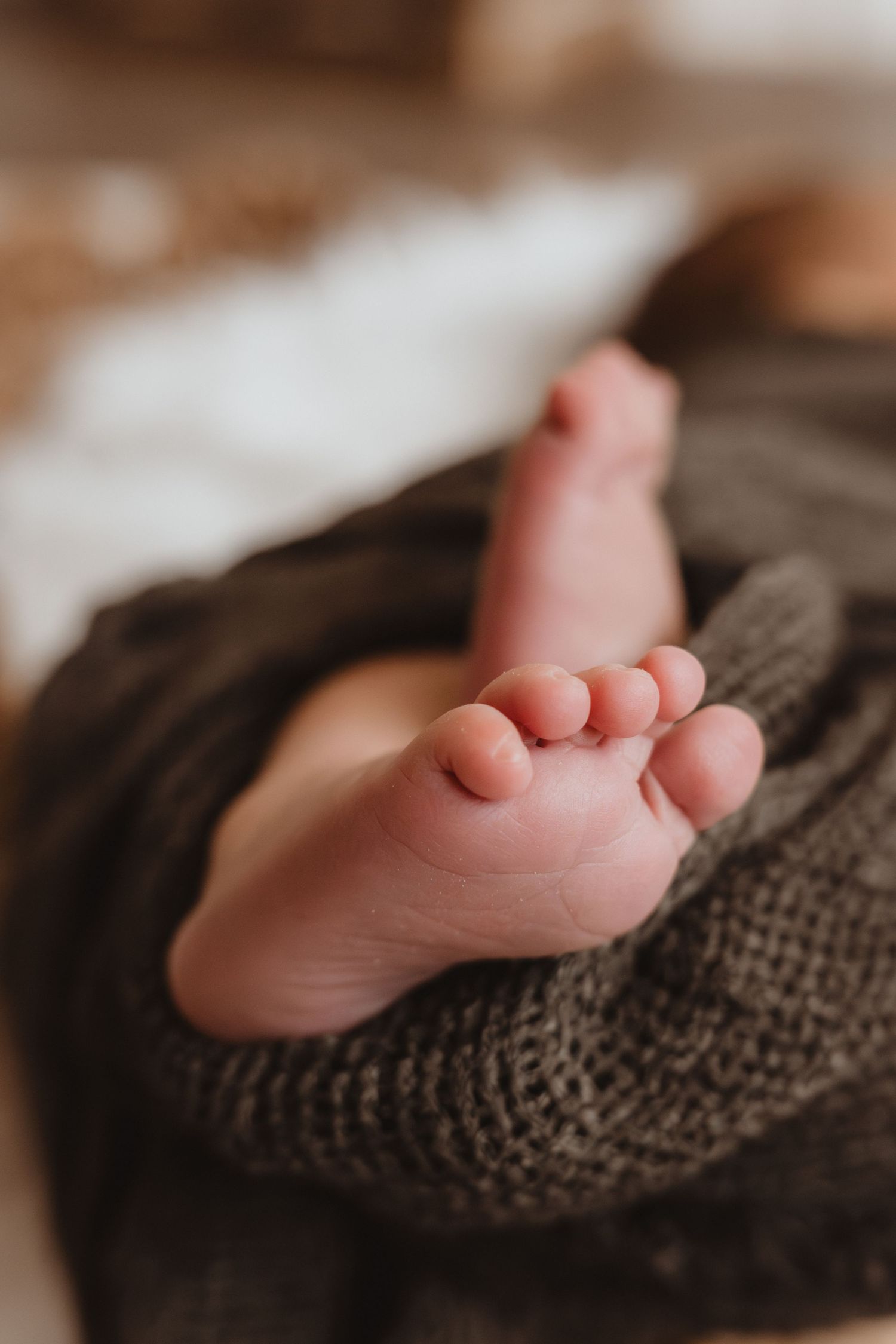 Close-up of tiny newborn baby feet wrapped in a soft gray knit blanket.