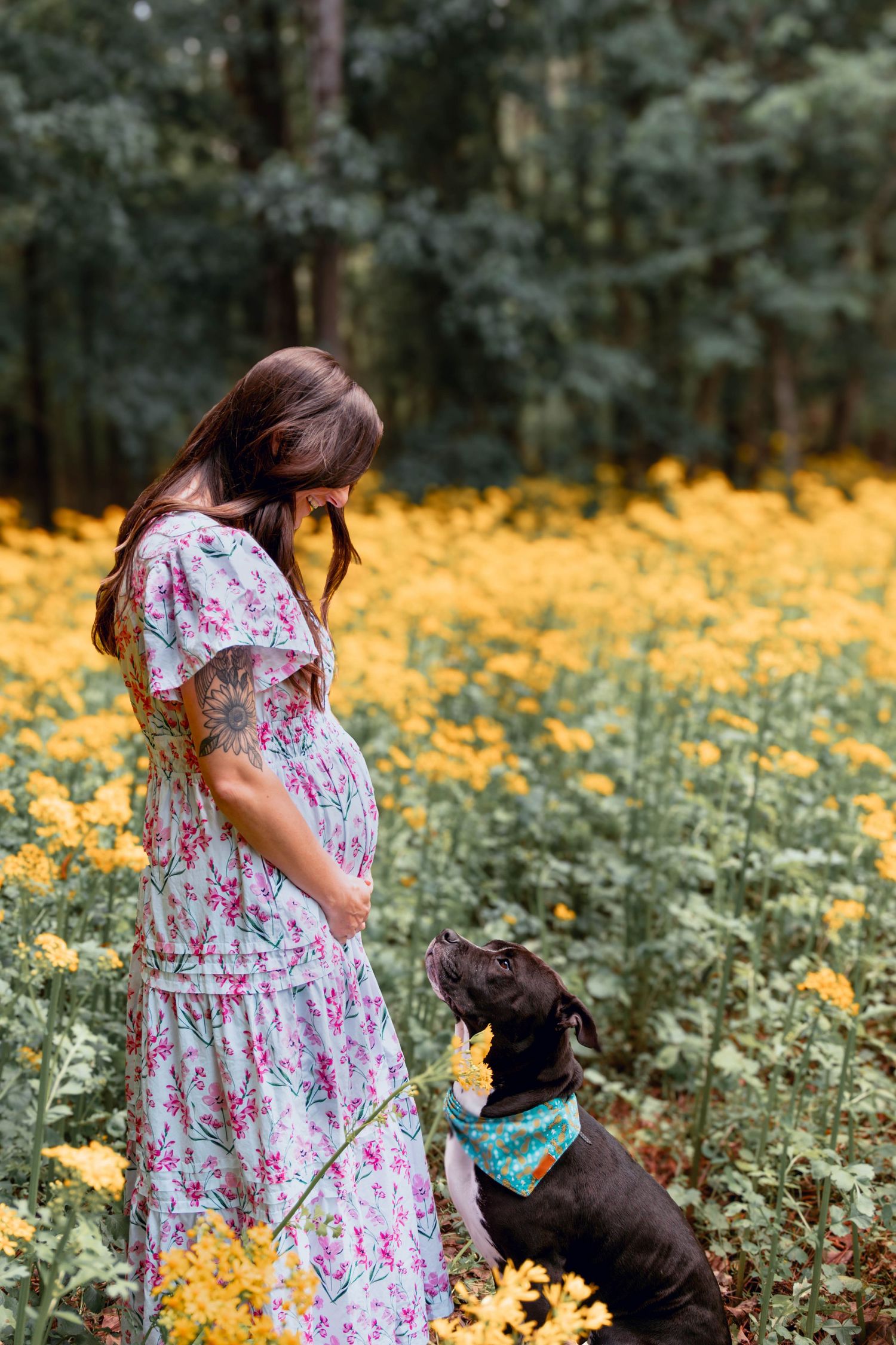 Pregnant woman in floral dress standing with black dog wearing teal bandana in yellow wildflower field.