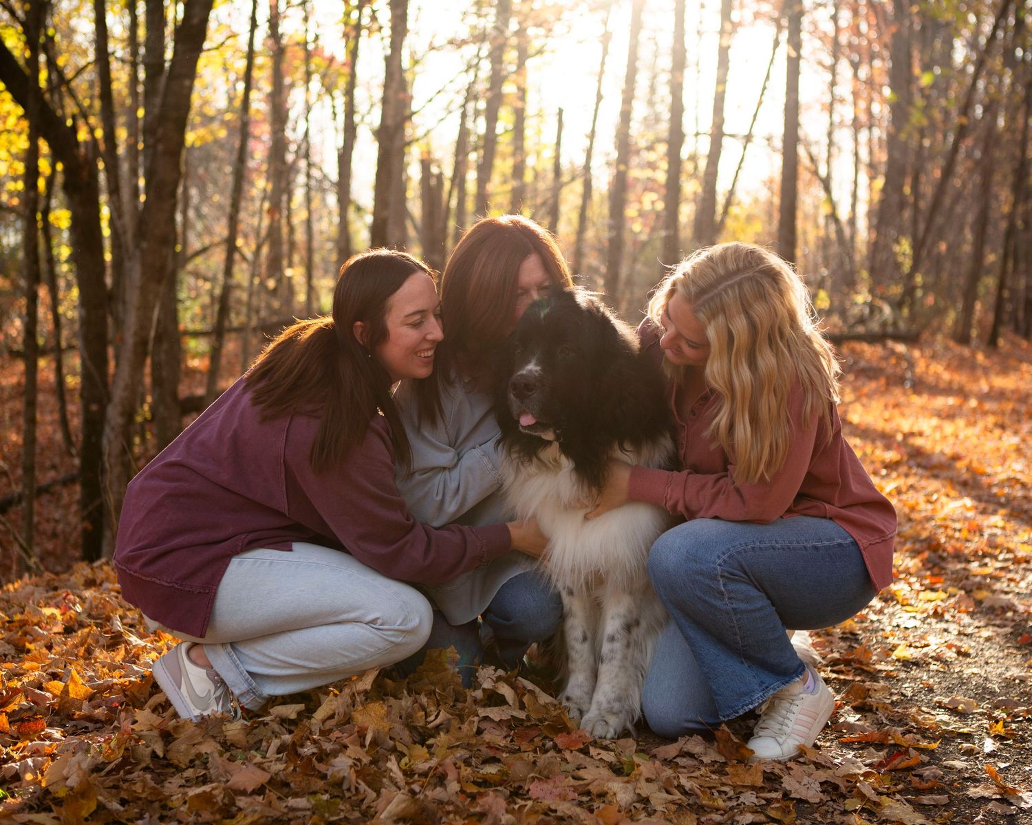 couple/family portfolio