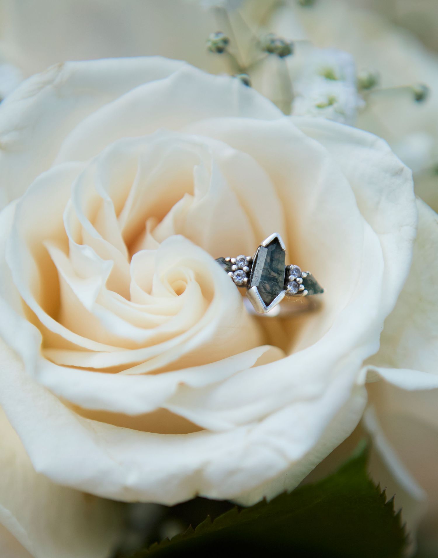 wedding portfolio