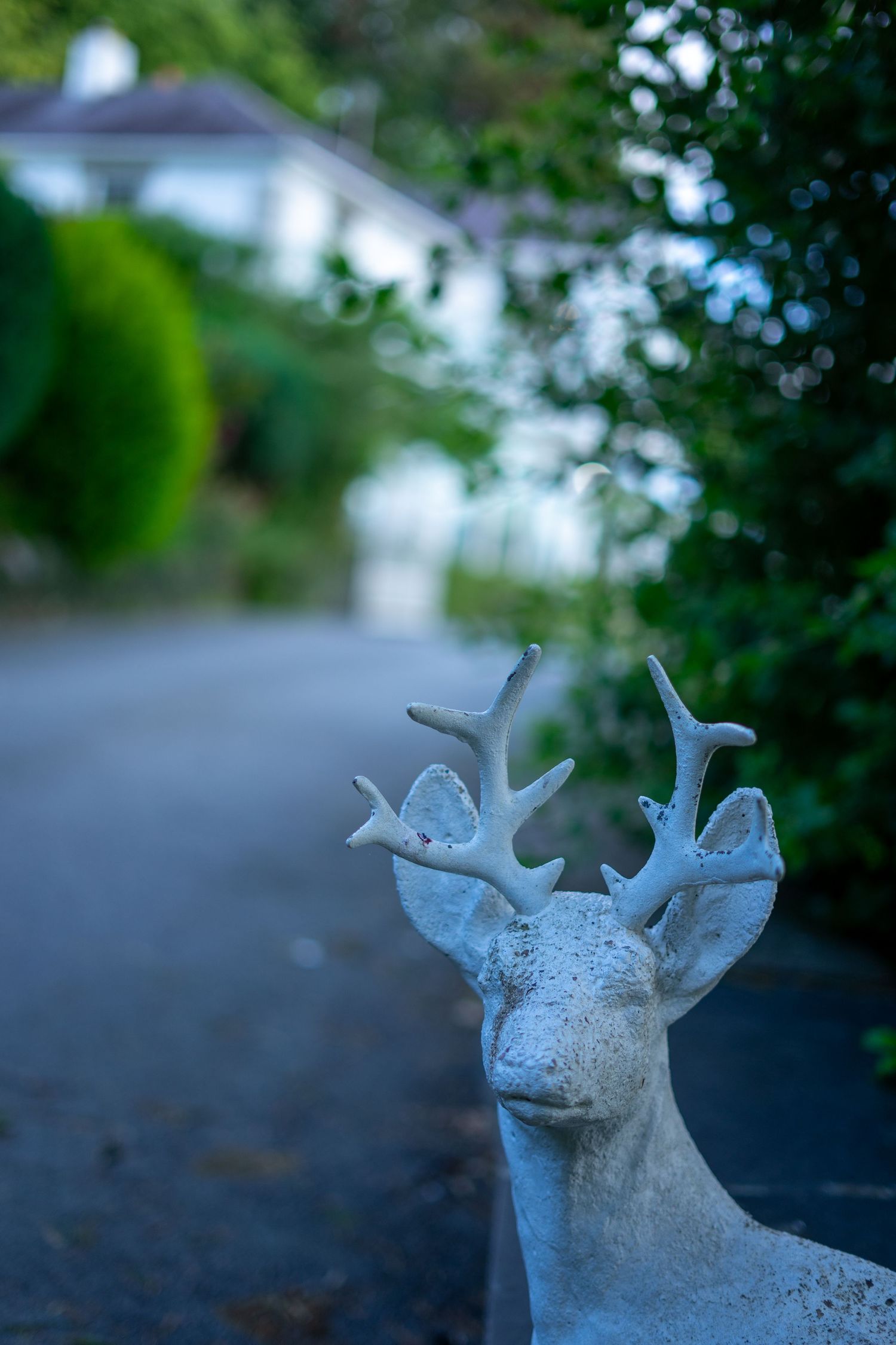 Plas Maenan wedding photographer. North-Wales wedding photographer
