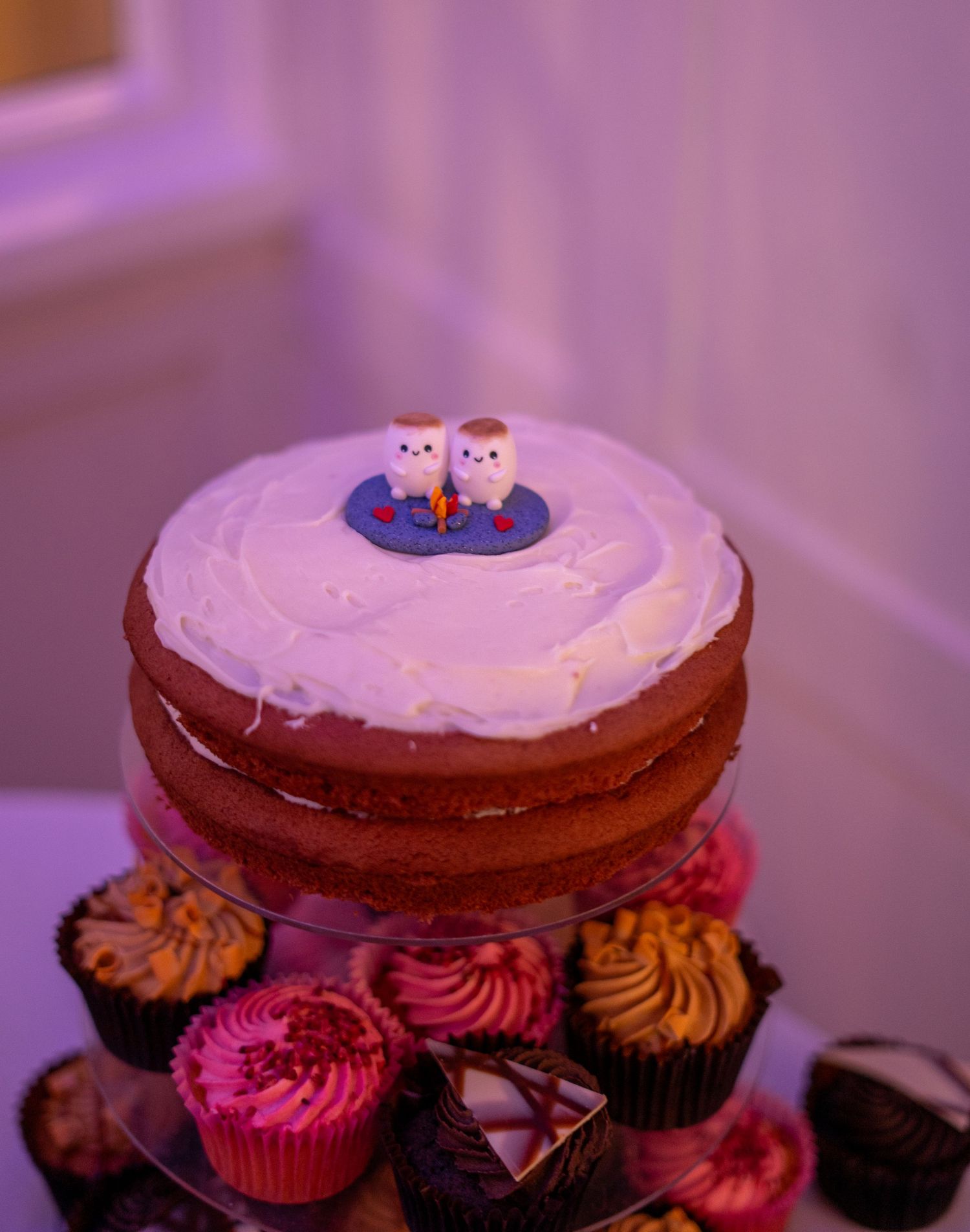 Plas Maenan wedding photographer. North-Wales wedding photographer