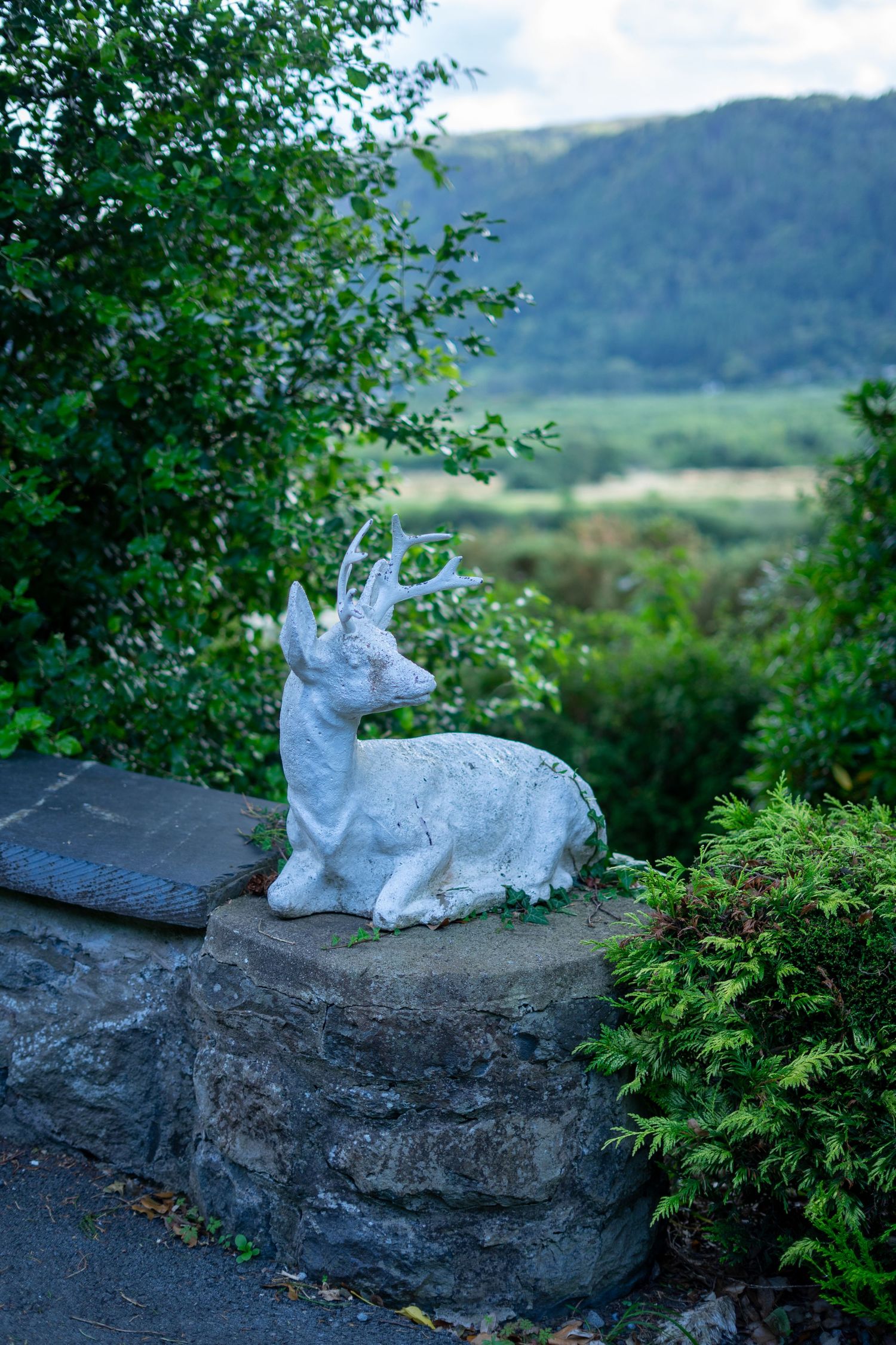 Plas Maenan wedding photographer. North-Wales wedding photographer