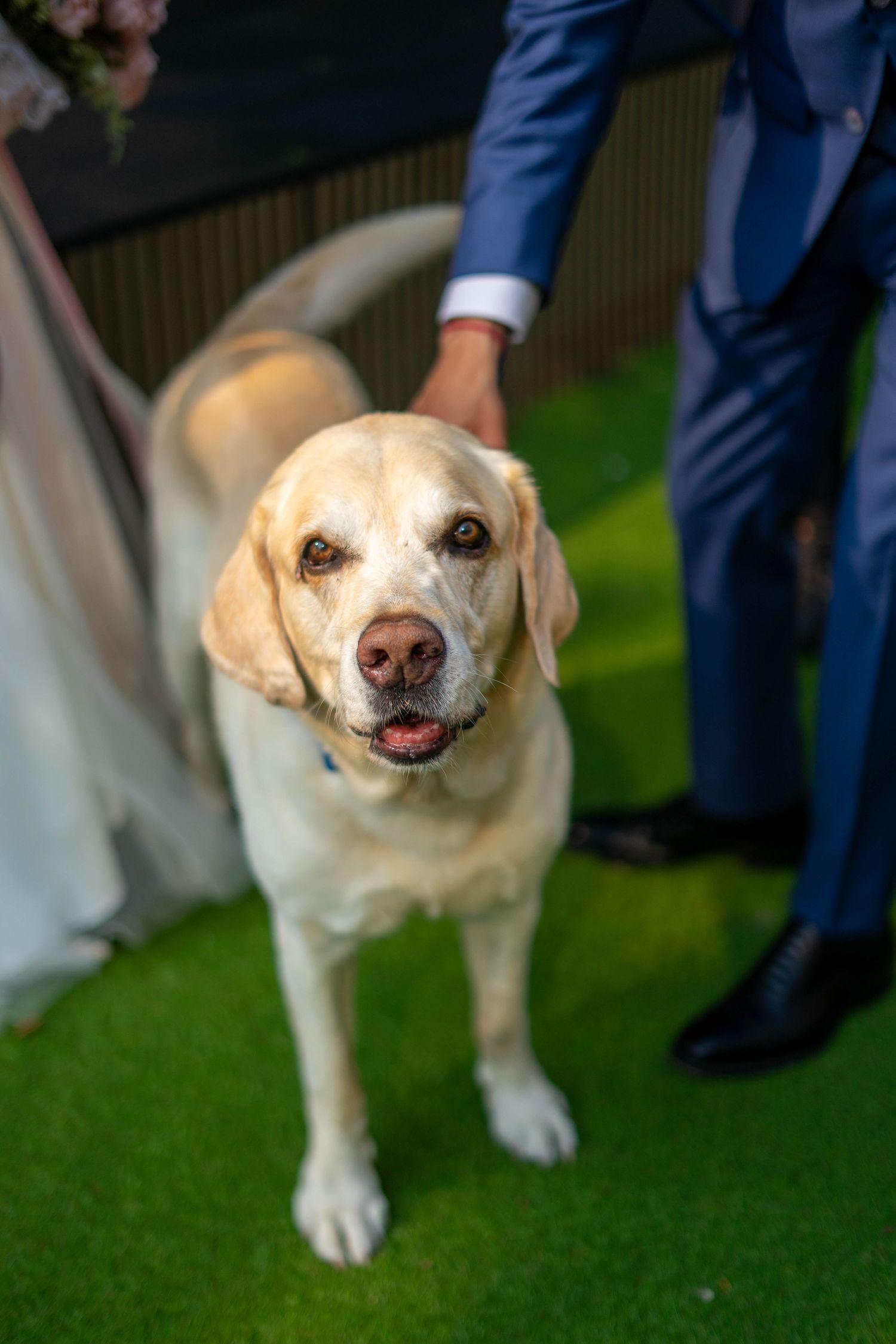 The Grand wedding photographer southport. Southport wedding photographer