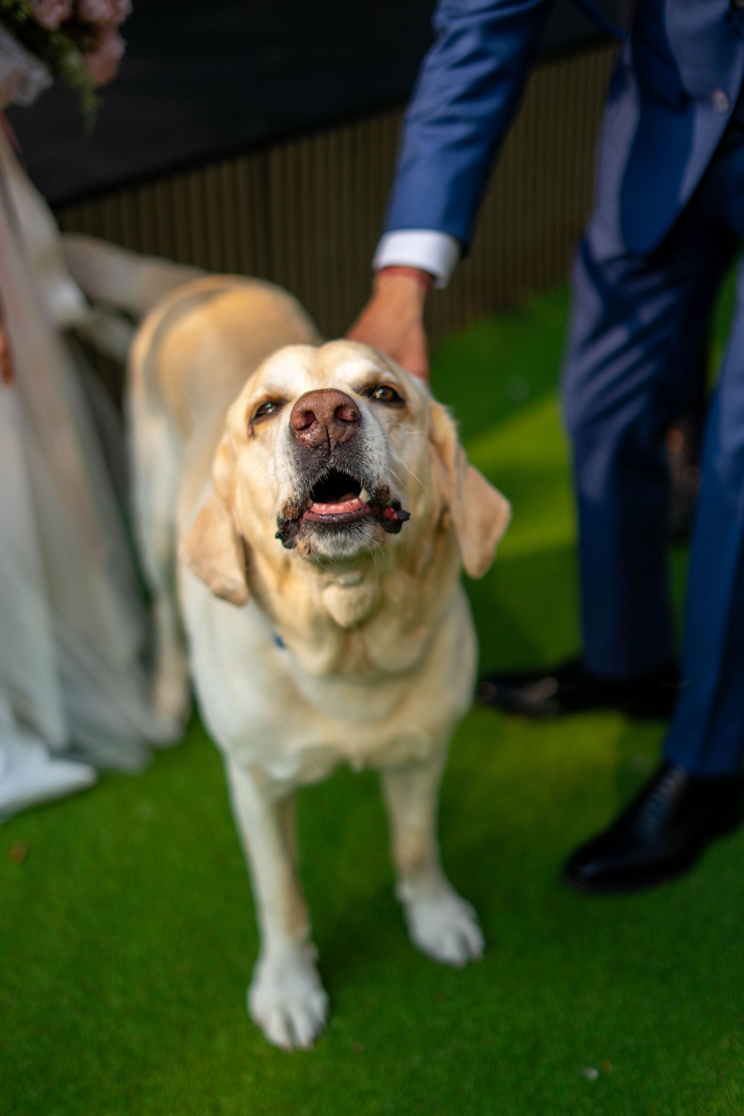 The Grand wedding photographer southport. Southport wedding photographer
