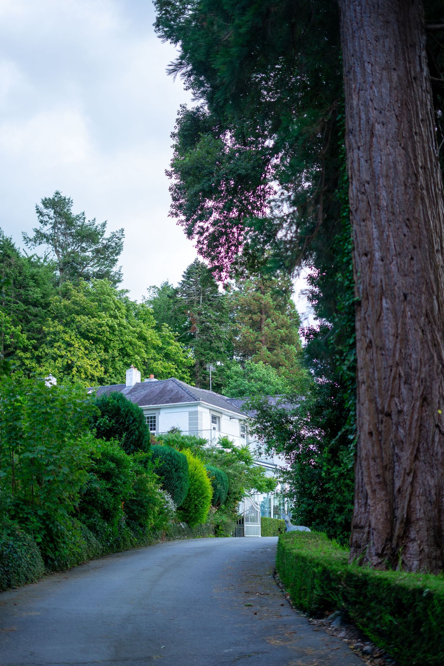 Plas Maenan wedding photographer. North-Wales wedding photographer