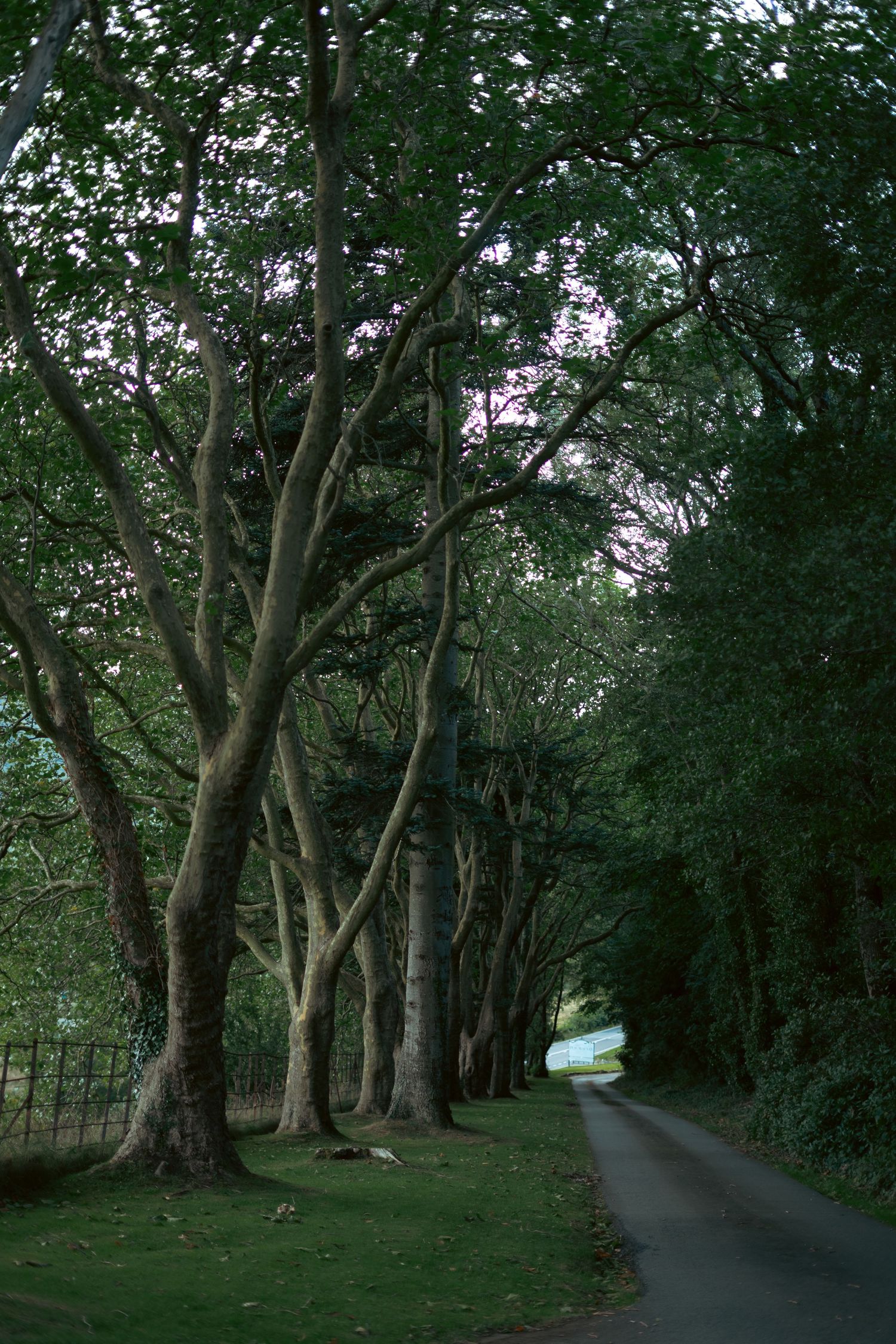 Plas Maenan wedding photographer. North-Wales wedding photographer