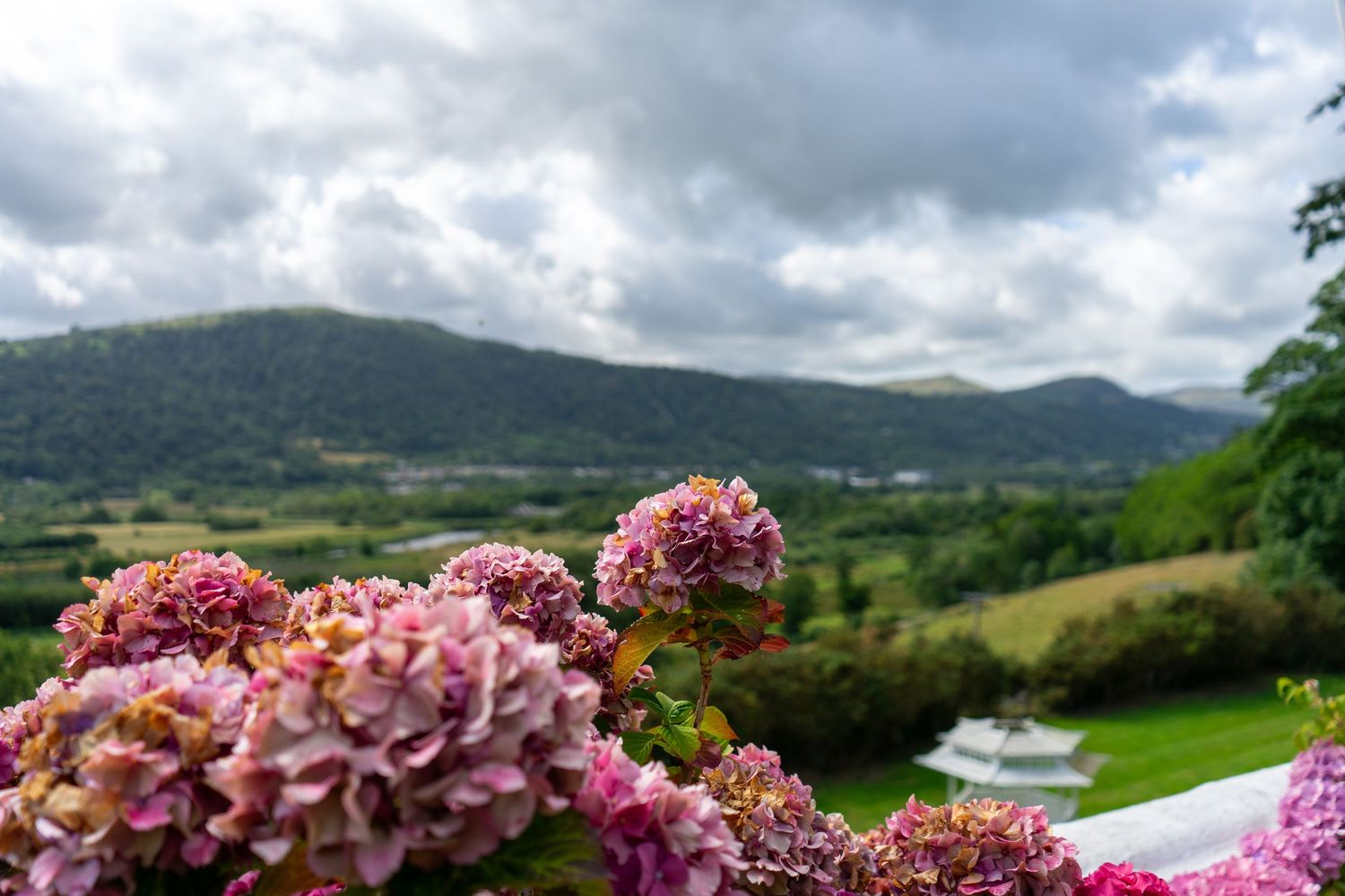 Plas Maenan wedding photographer. North-Wales wedding photographer