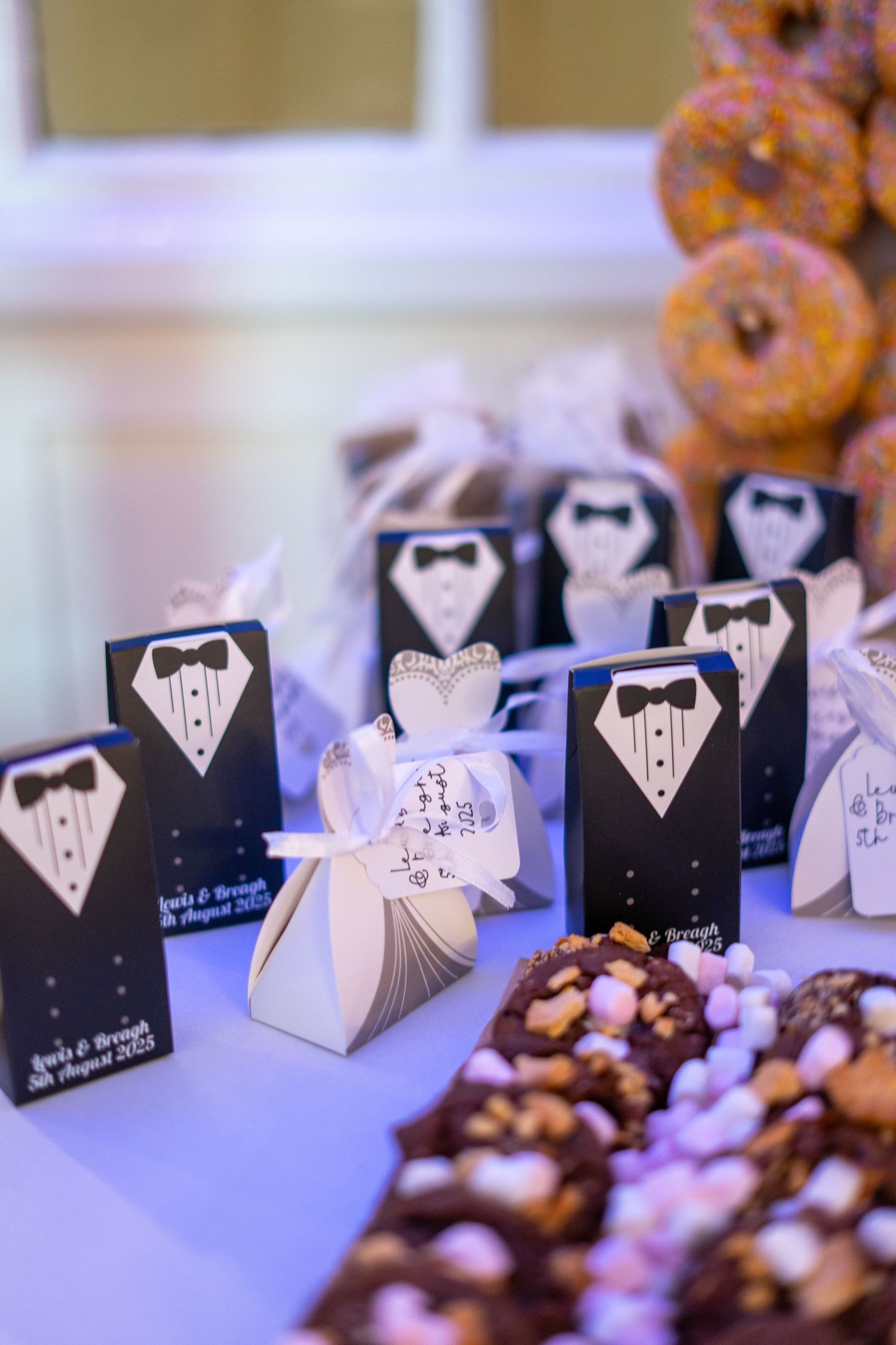 Plas Maenan wedding photographer. North-Wales wedding photographer