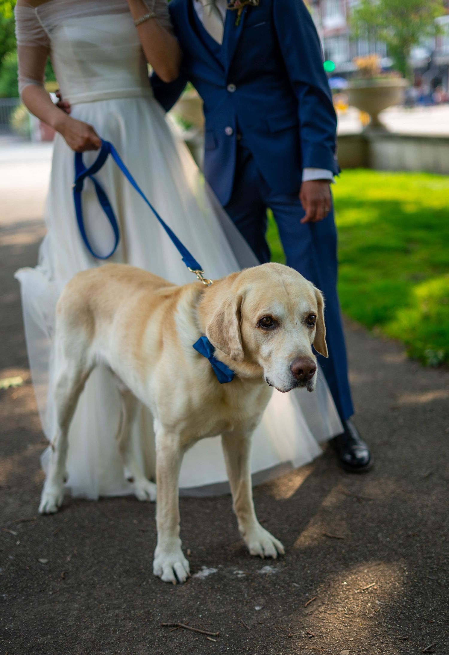 The Grand wedding photographer southport. Southport wedding photographer