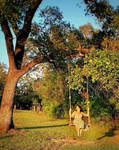 Woman in floral dress swinging on a rope swing at golden hour under a large tree at Josabi's Acres in Helotes, TX