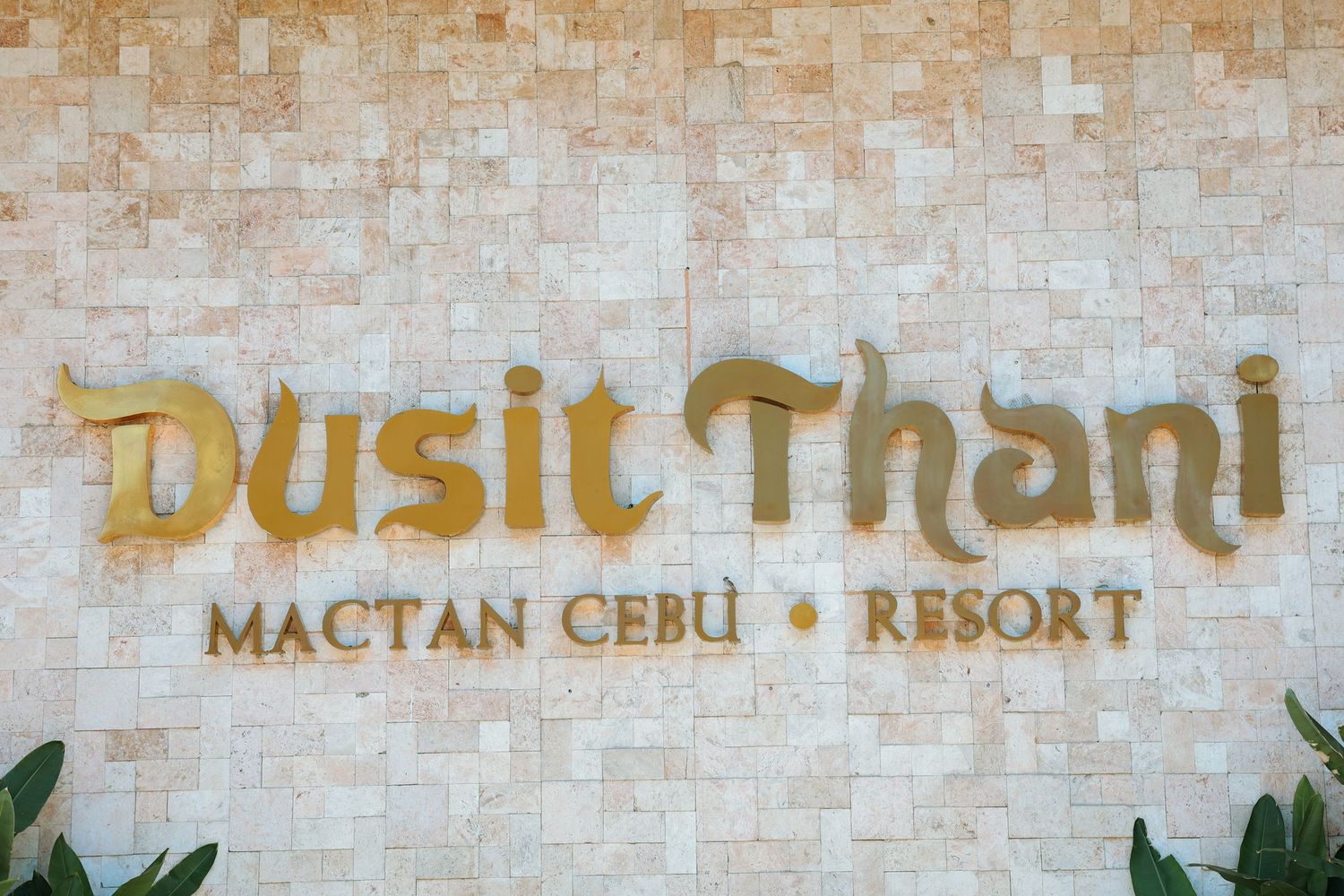 Dusit THANI Wedding.