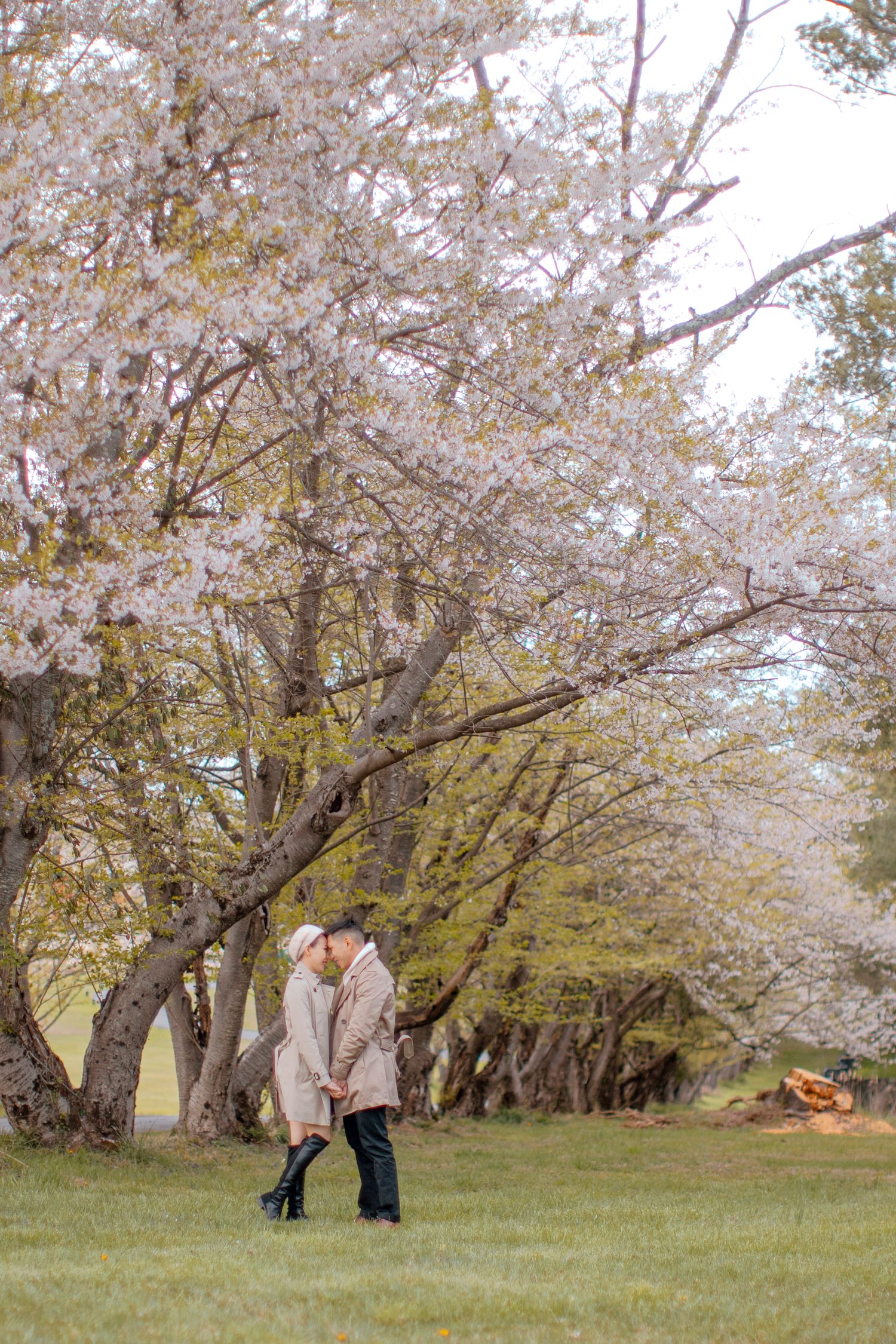 New York Prenup